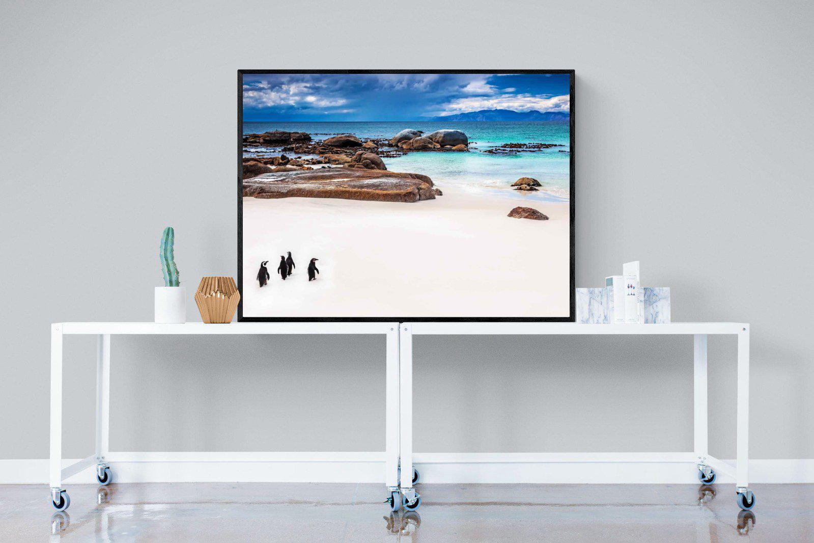 Cape Penguins-Wall_Art-120 x 90cm-Mounted Canvas-Black-Pixalot