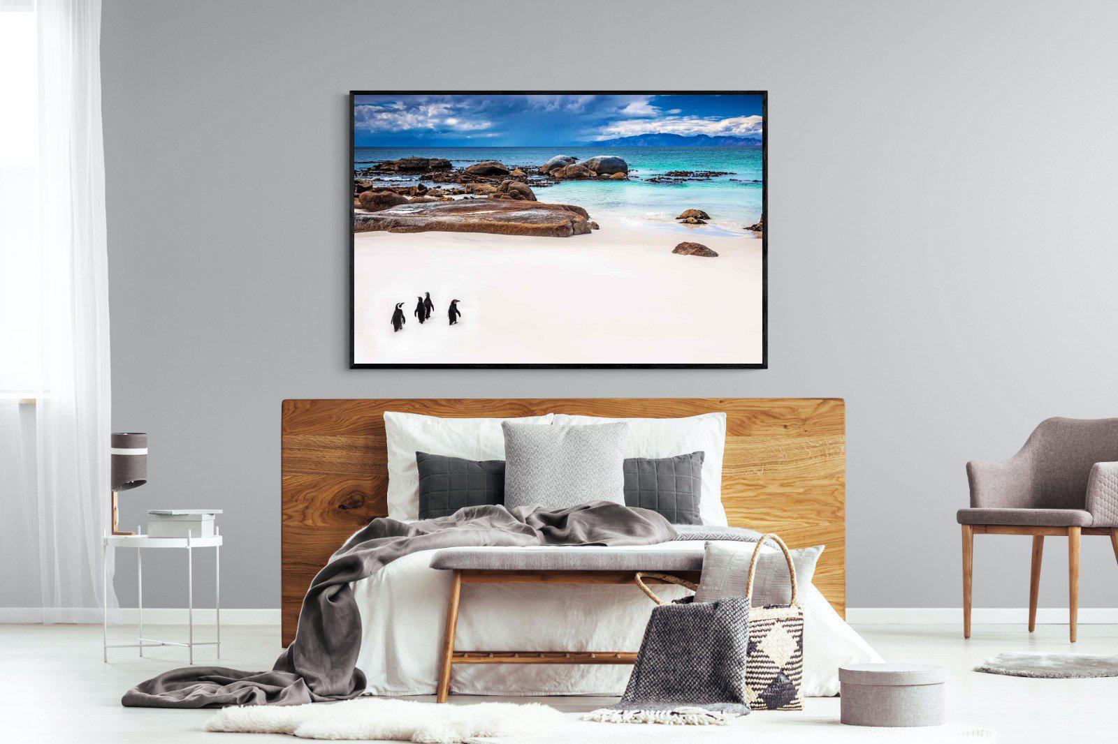 Cape Penguins-Wall_Art-150 x 100cm-Mounted Canvas-Black-Pixalot