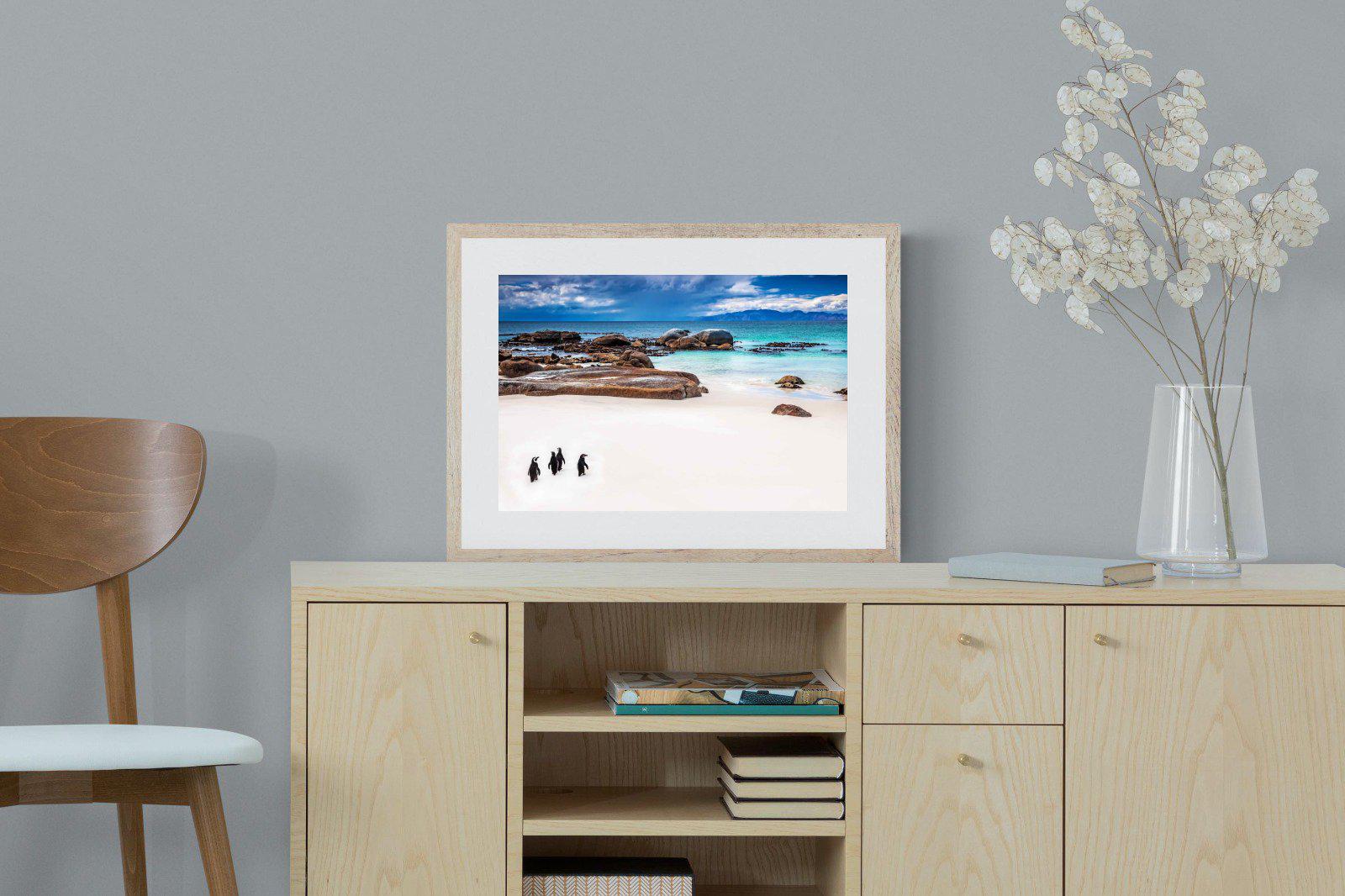Cape Penguins-Wall_Art-60 x 45cm-Framed Print-Wood-Pixalot