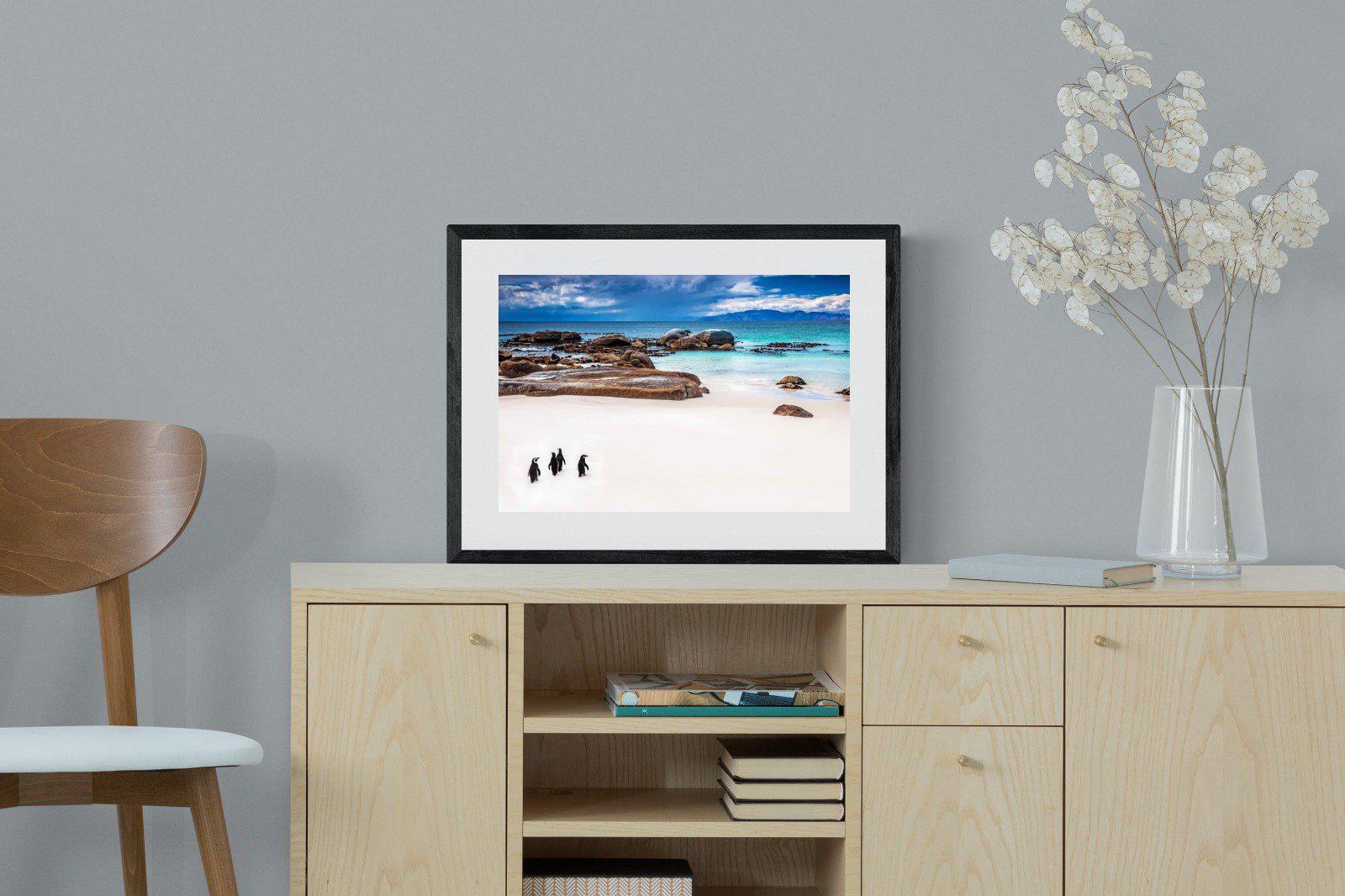 Cape Penguins-Wall_Art-60 x 45cm-Framed Print-Black-Pixalot