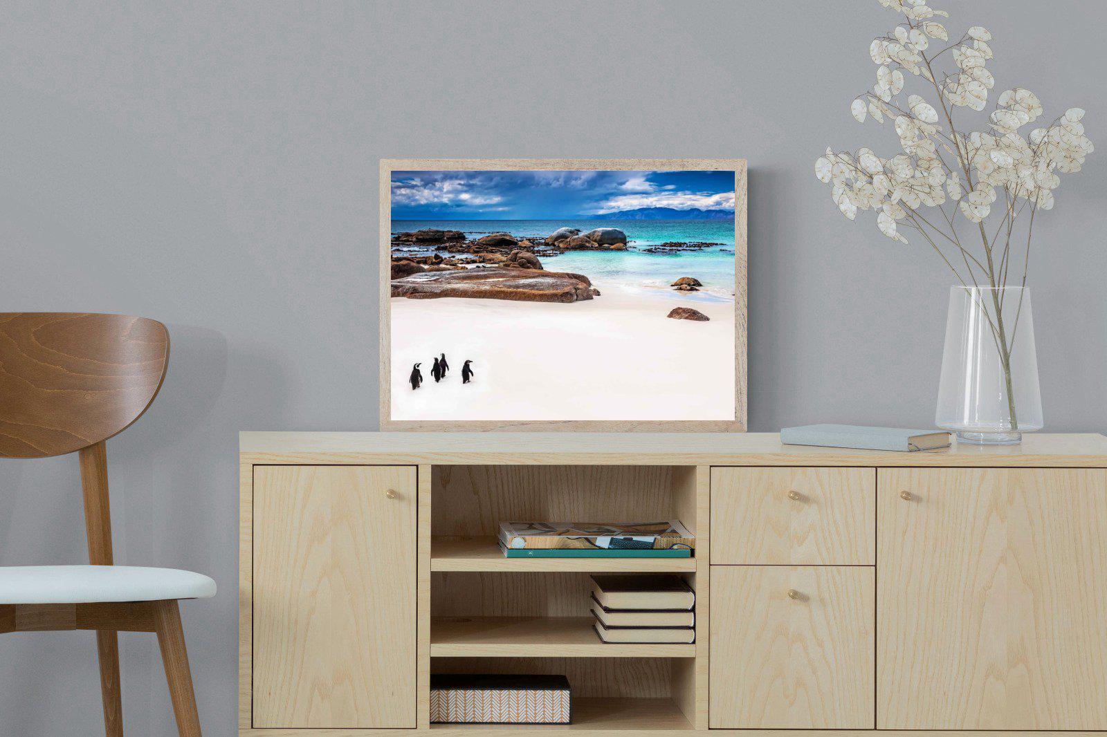 Cape Penguins-Wall_Art-60 x 45cm-Mounted Canvas-Wood-Pixalot