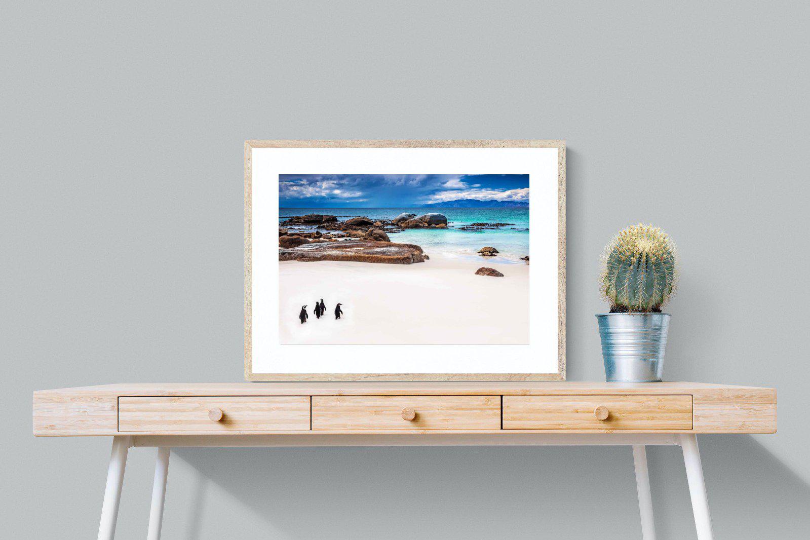 Cape Penguins-Wall_Art-80 x 60cm-Framed Print-Wood-Pixalot
