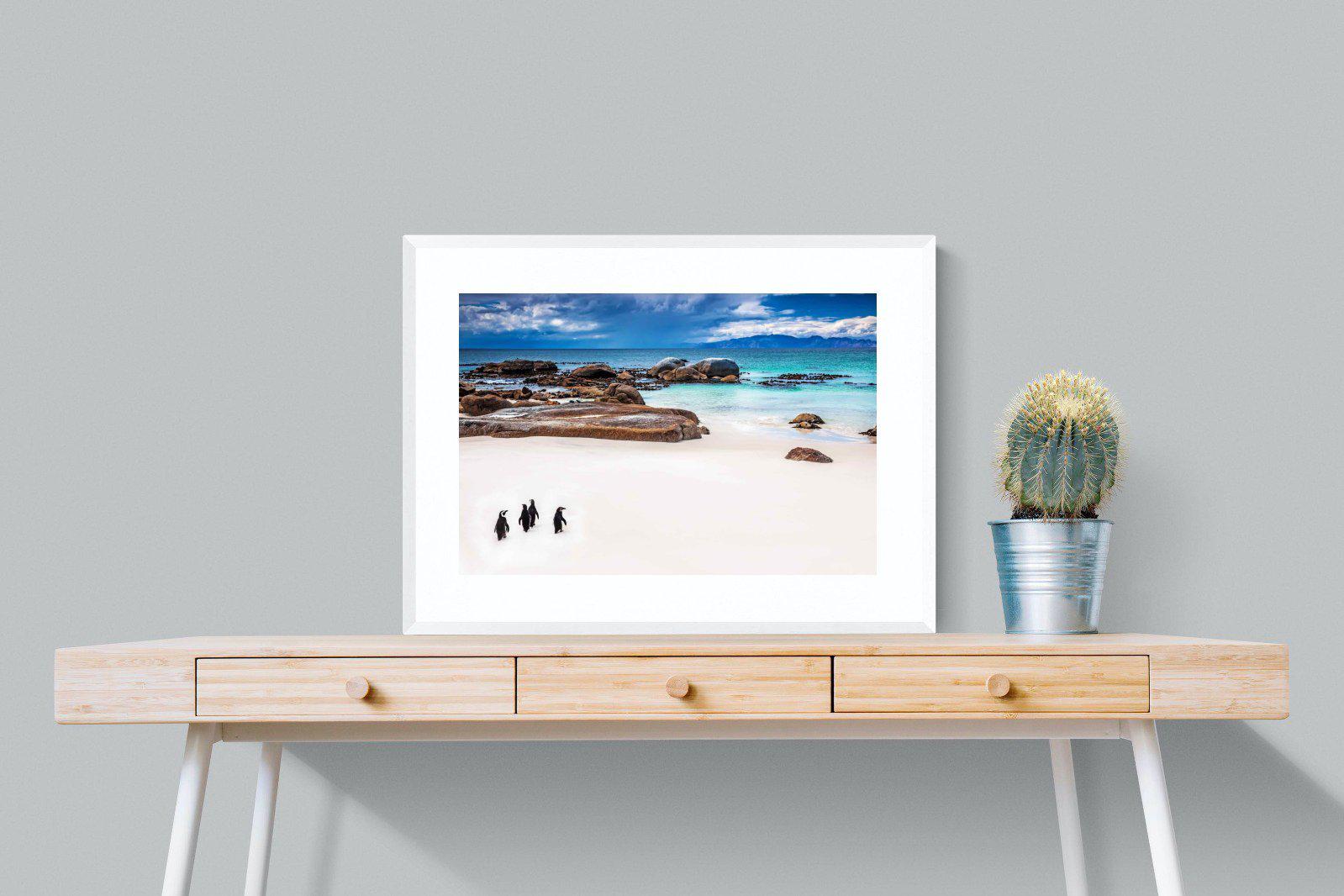 Cape Penguins-Wall_Art-80 x 60cm-Framed Print-White-Pixalot