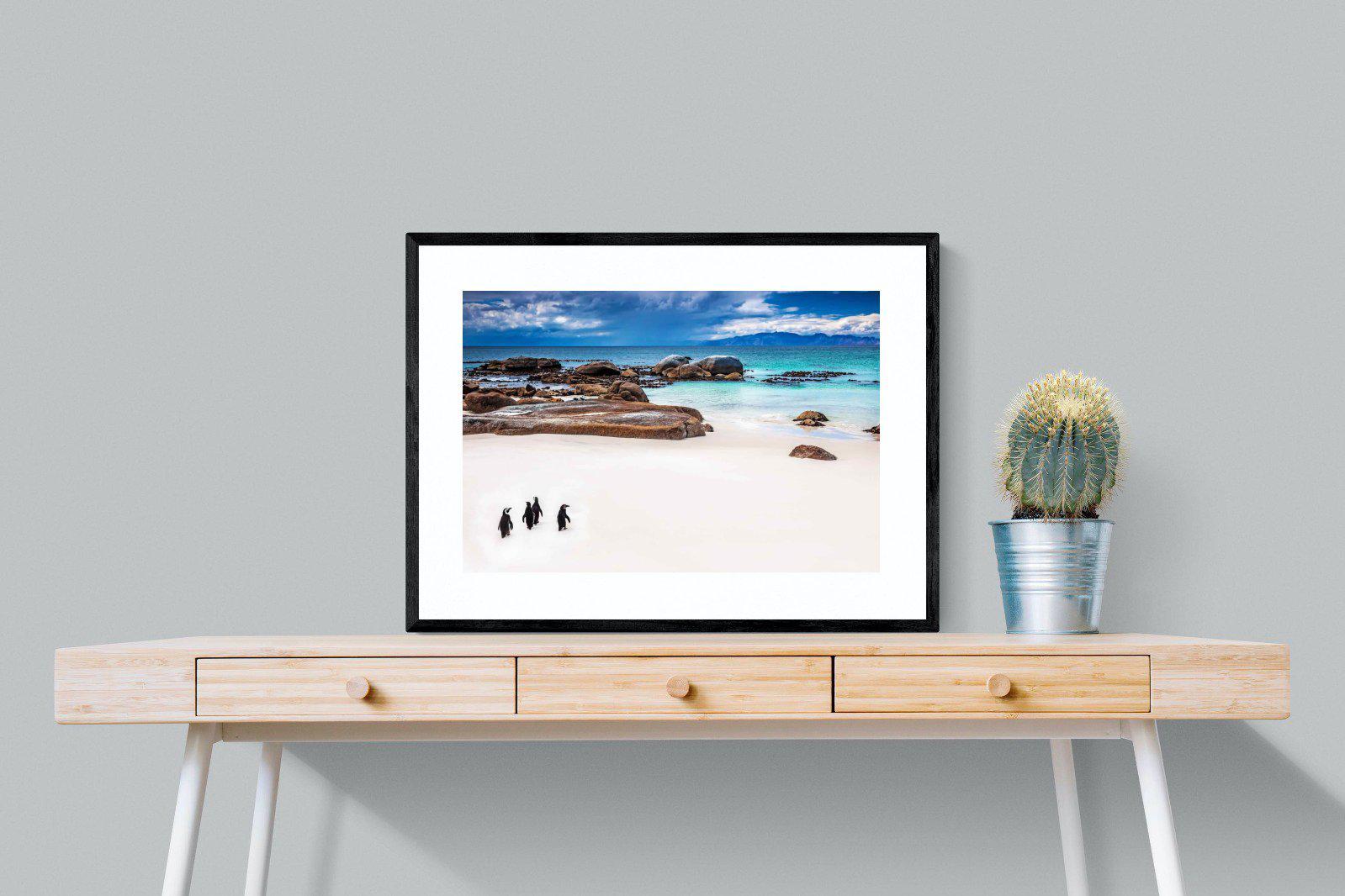 Cape Penguins-Wall_Art-80 x 60cm-Framed Print-Black-Pixalot