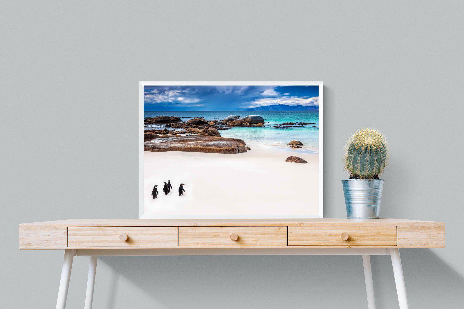 Cape Penguins-Wall_Art-80 x 60cm-Mounted Canvas-White-Pixalot