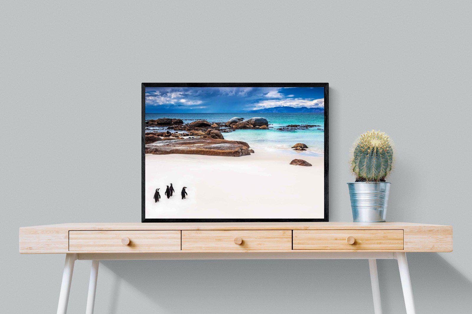 Cape Penguins-Wall_Art-80 x 60cm-Mounted Canvas-Black-Pixalot