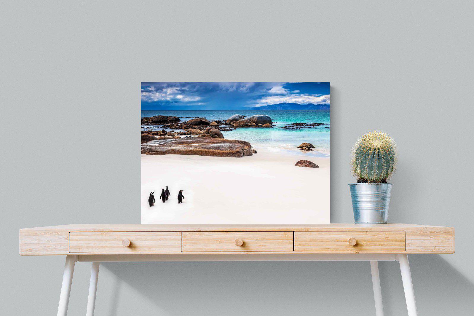 Cape Penguins-Wall_Art-80 x 60cm-Mounted Canvas-No Frame-Pixalot