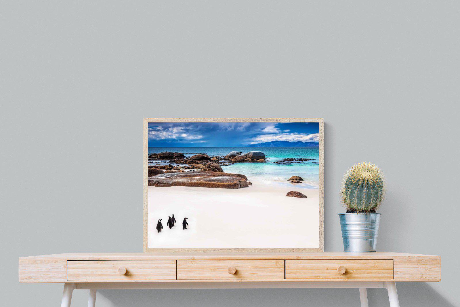 Cape Penguins-Wall_Art-80 x 60cm-Mounted Canvas-Wood-Pixalot