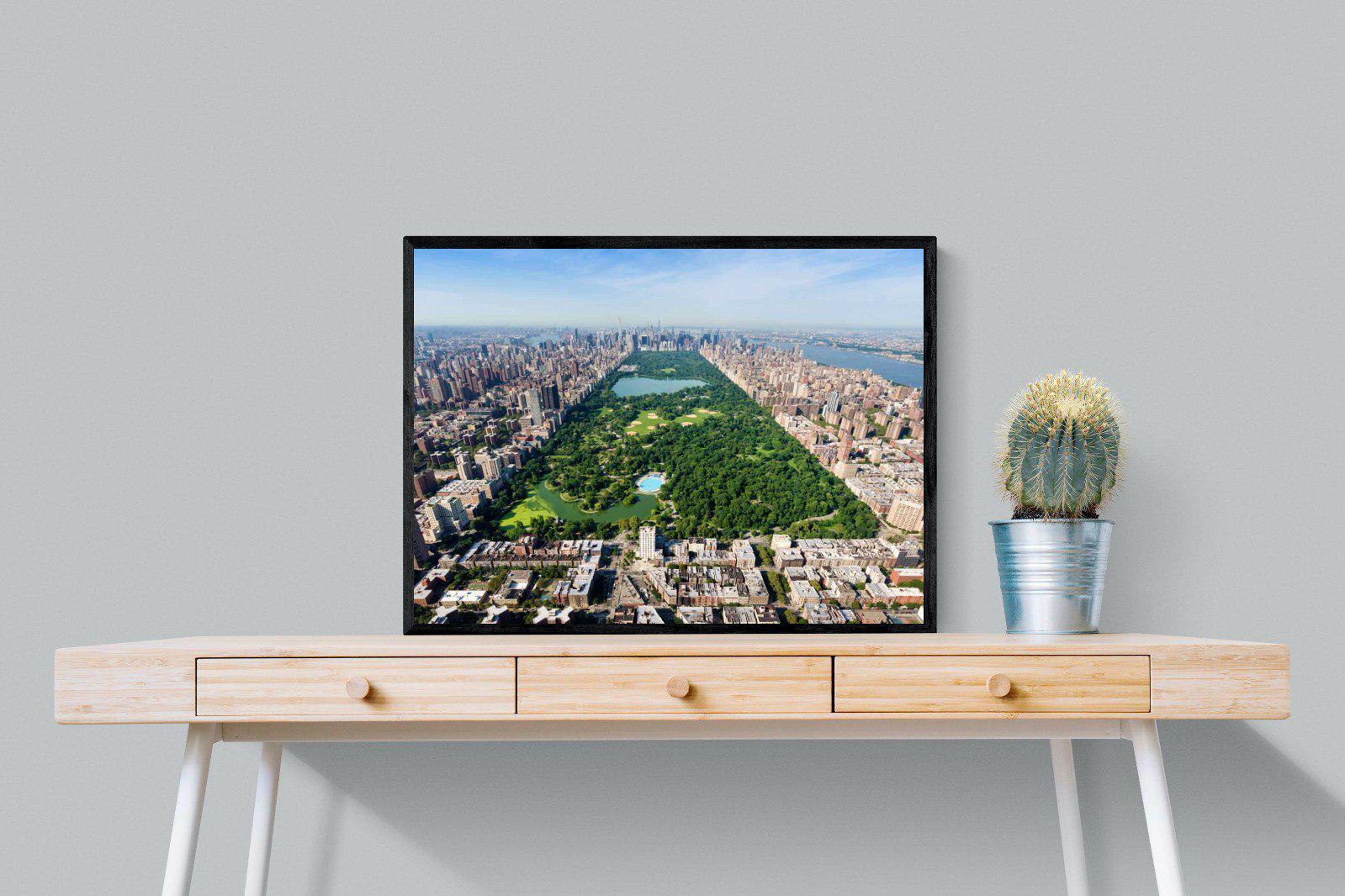 Central Park-Wall_Art-80 x 60cm-Mounted Canvas-Black-Pixalot