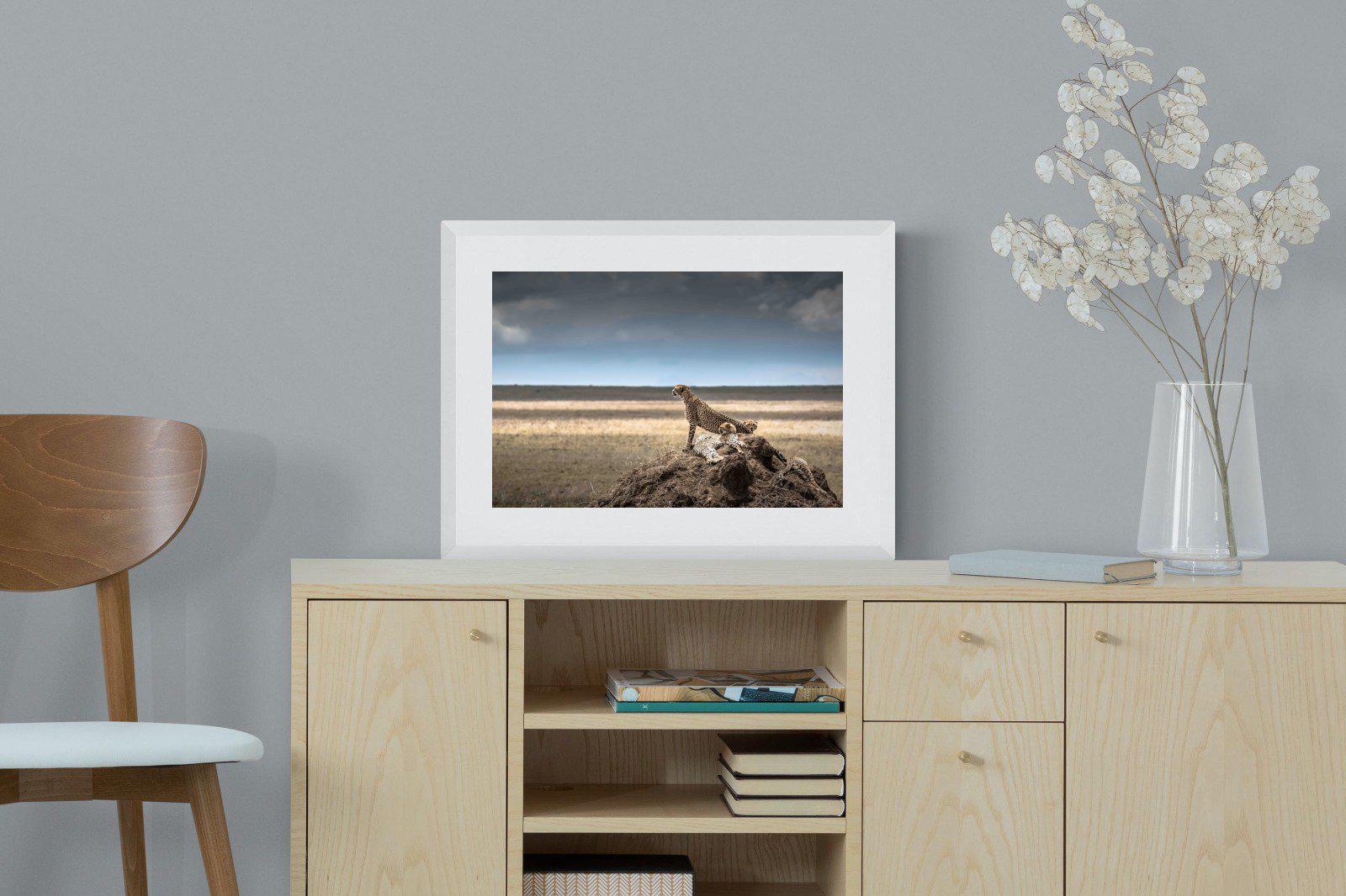 Cheetah Family-Wall_Art-60 x 45cm-Framed Print-White-Pixalot
