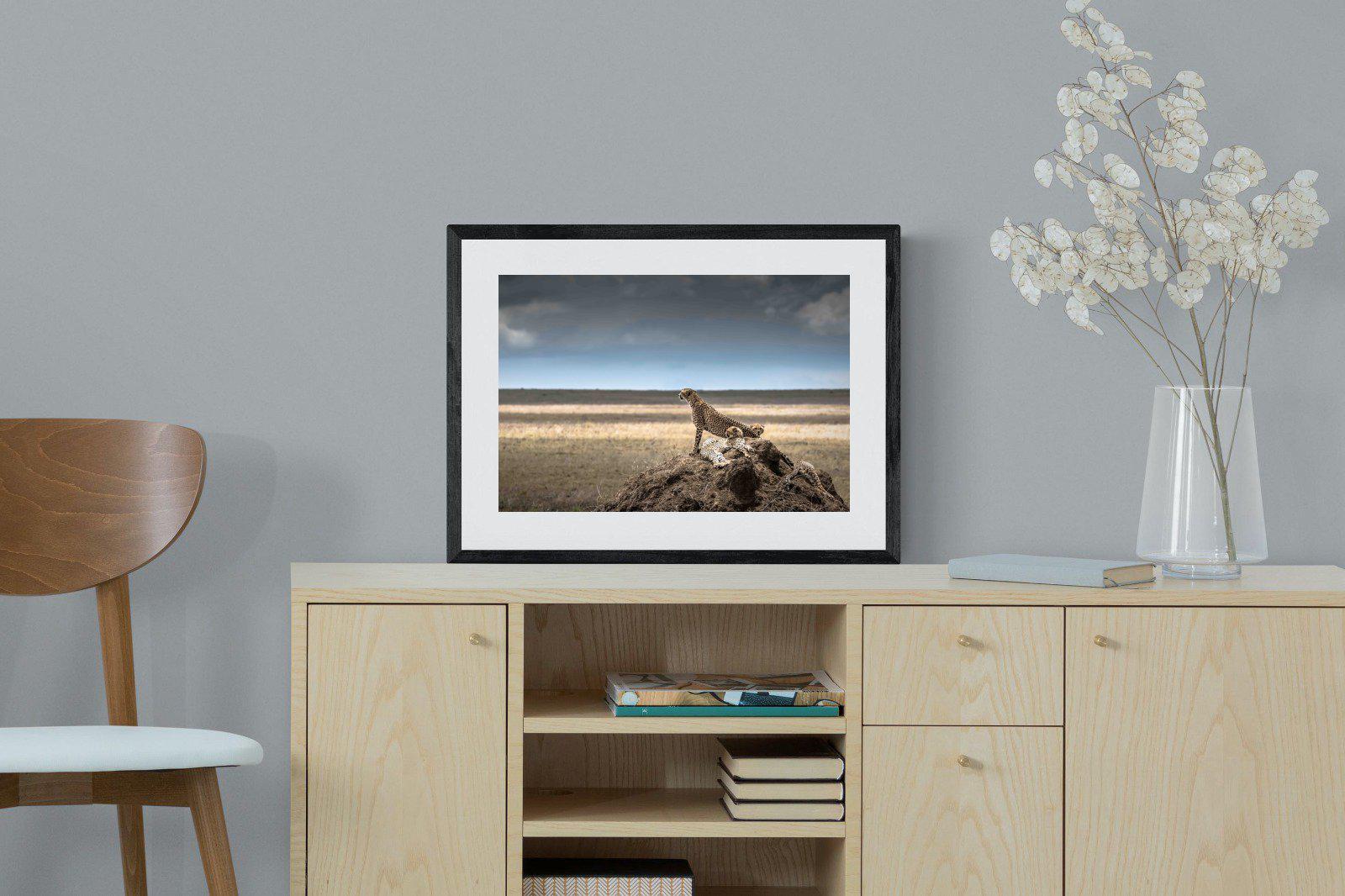 Cheetah Family-Wall_Art-60 x 45cm-Framed Print-Black-Pixalot
