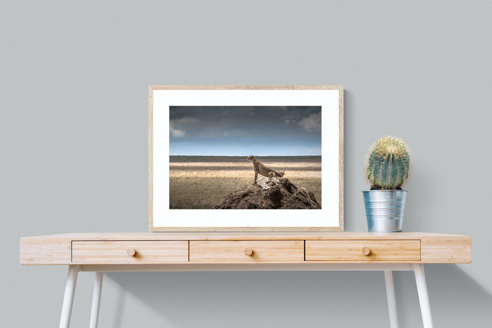 Cheetah Family-Wall_Art-80 x 60cm-Framed Print-Wood-Pixalot
