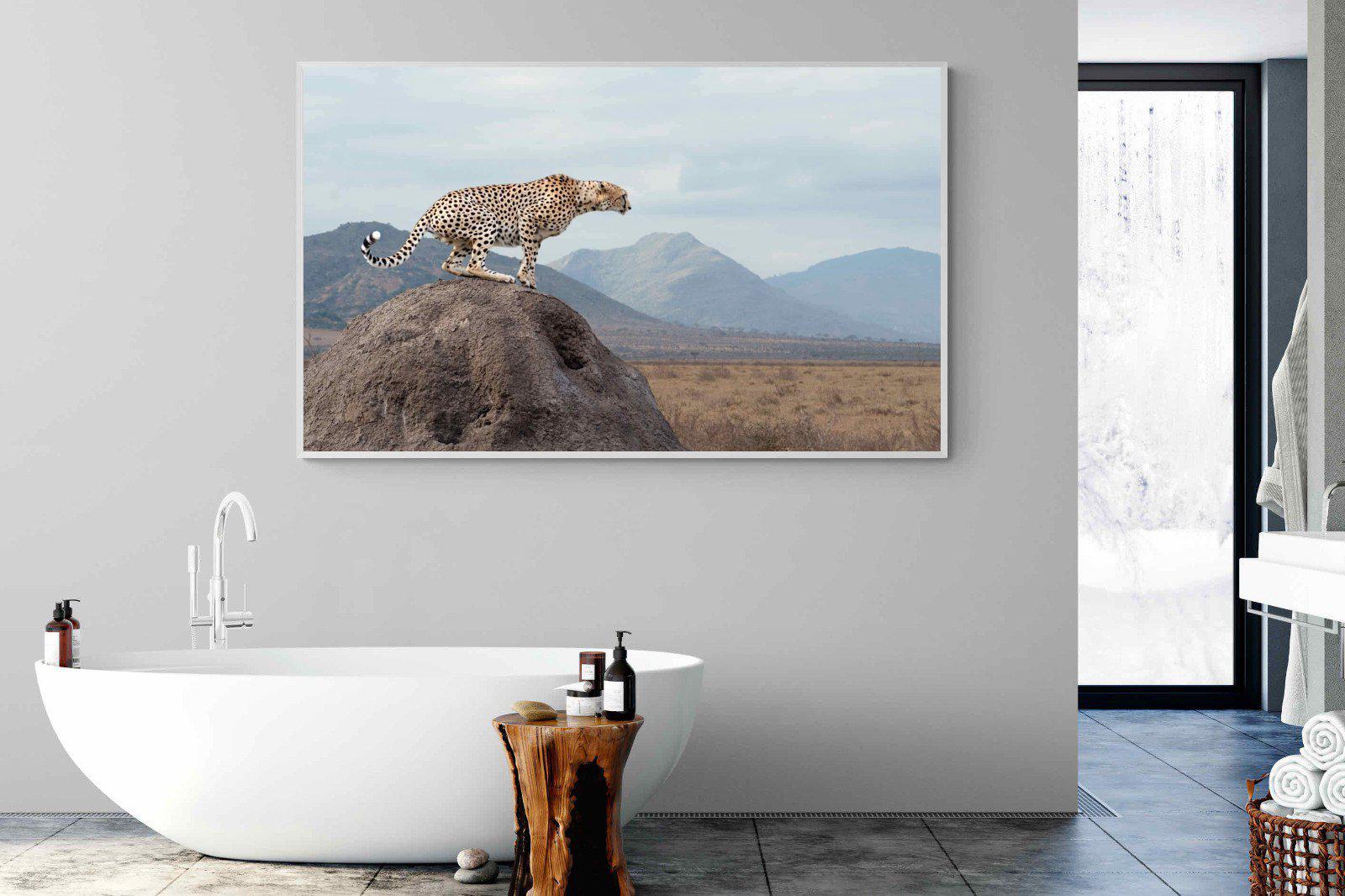 Cheetah-Wall_Art-180 x 110cm-Mounted Canvas-White-Pixalot