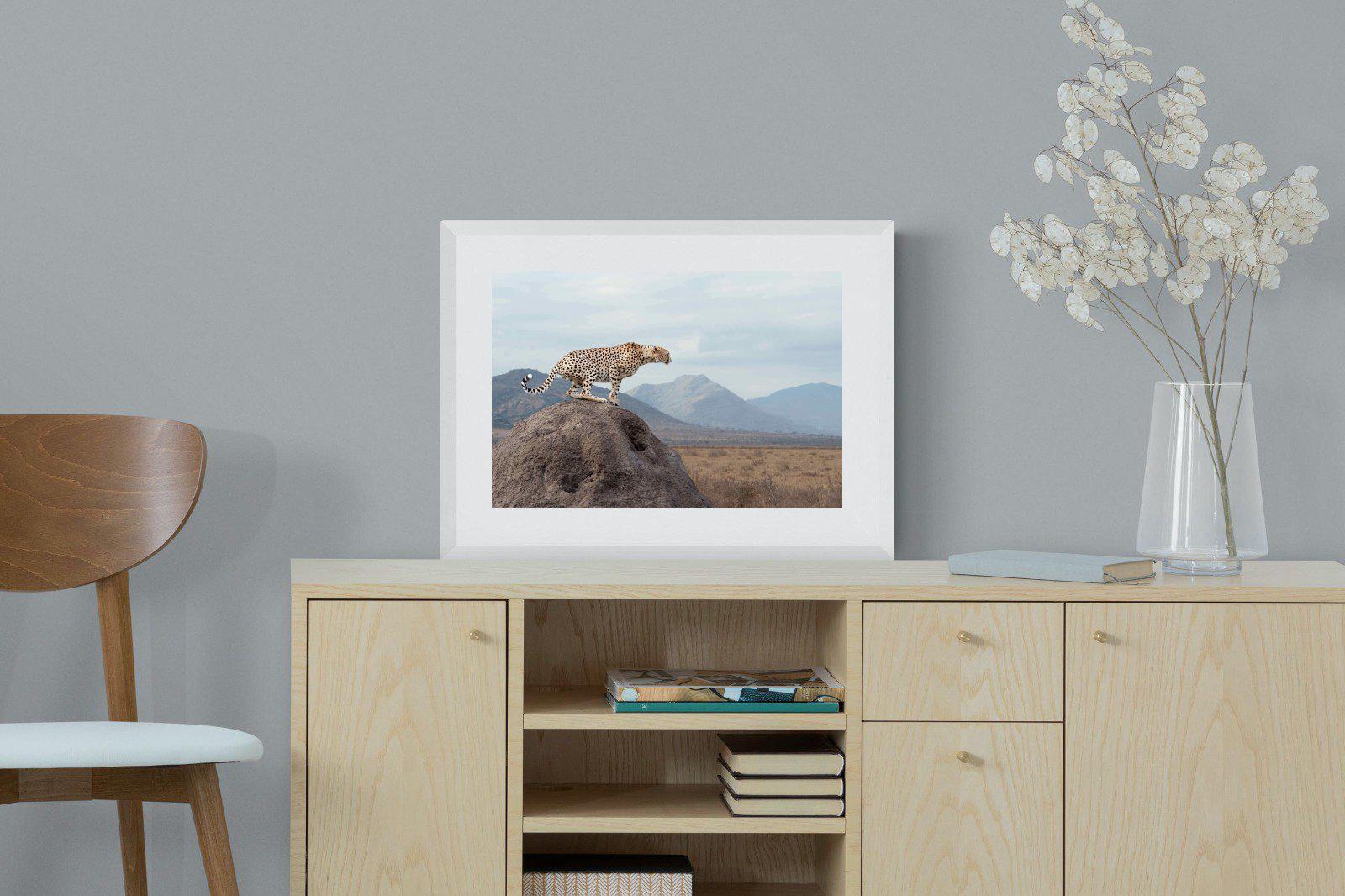 Cheetah-Wall_Art-60 x 45cm-Framed Print-White-Pixalot