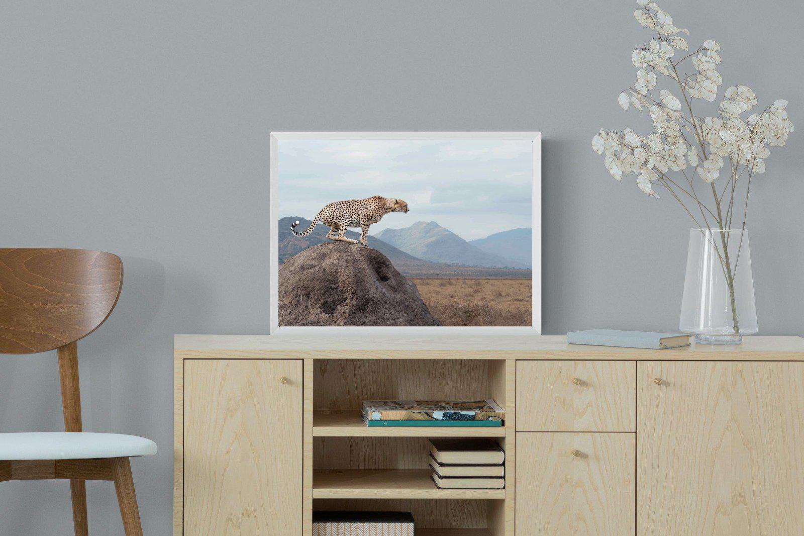 Cheetah-Wall_Art-60 x 45cm-Mounted Canvas-White-Pixalot