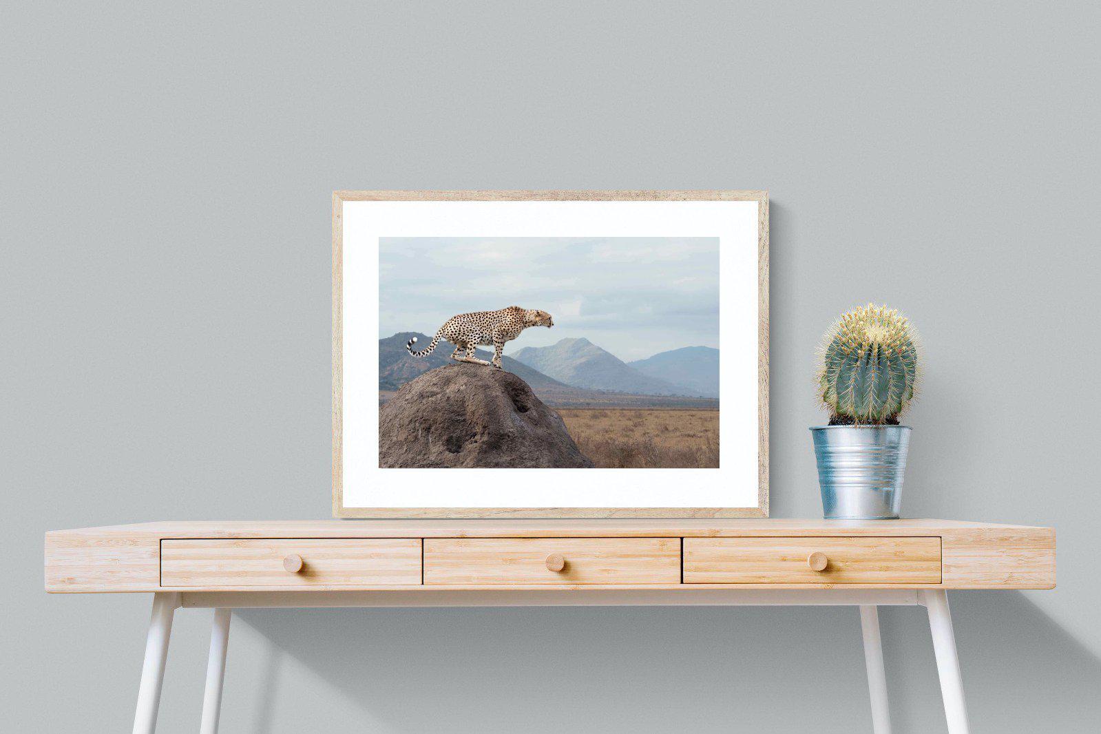 Cheetah-Wall_Art-80 x 60cm-Framed Print-Wood-Pixalot