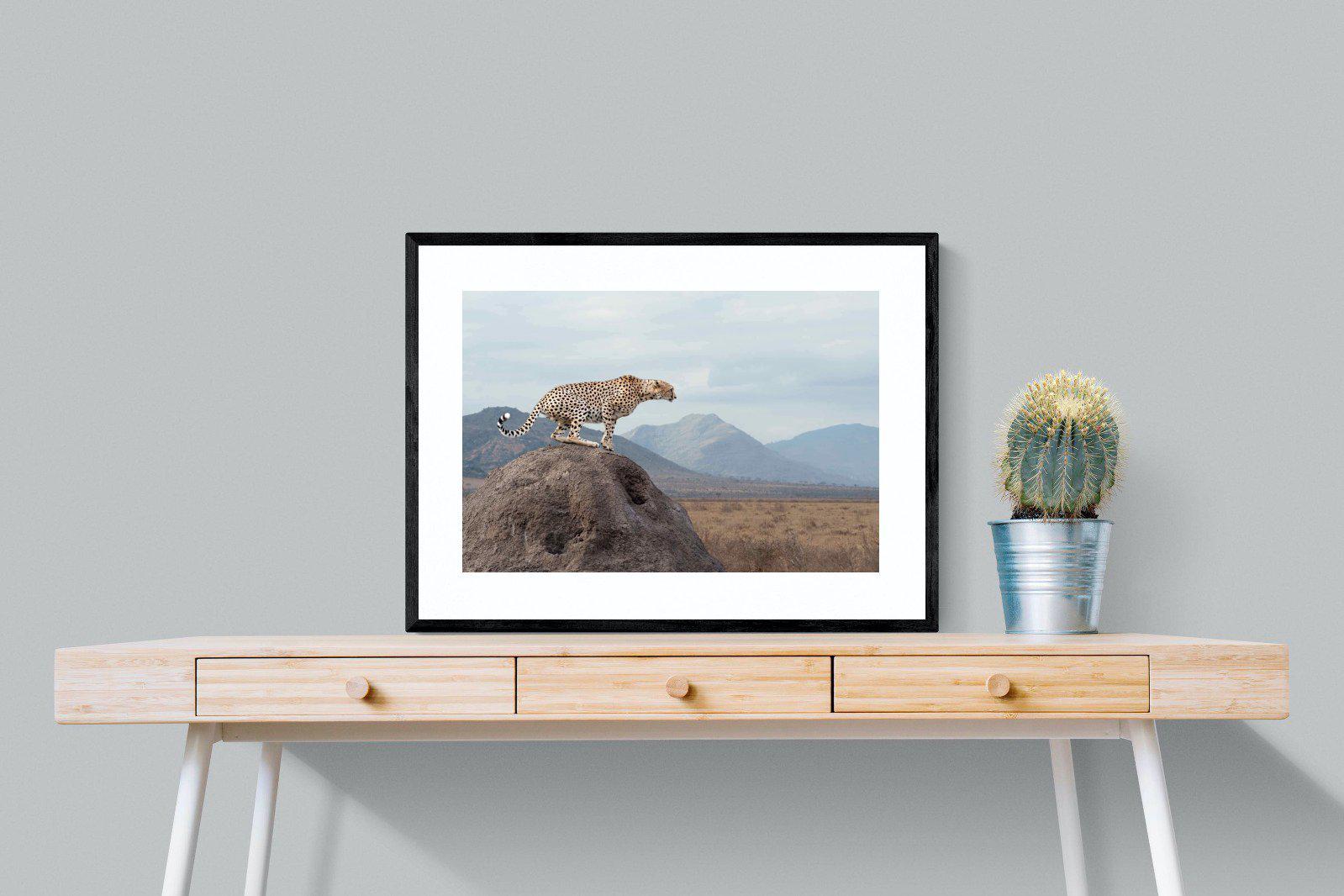 Cheetah-Wall_Art-80 x 60cm-Framed Print-Black-Pixalot