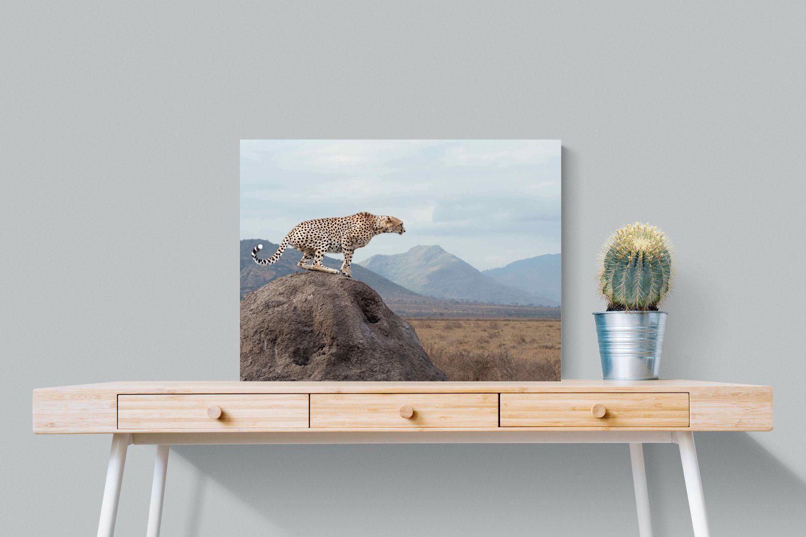 Cheetah-Wall_Art-80 x 60cm-Mounted Canvas-No Frame-Pixalot