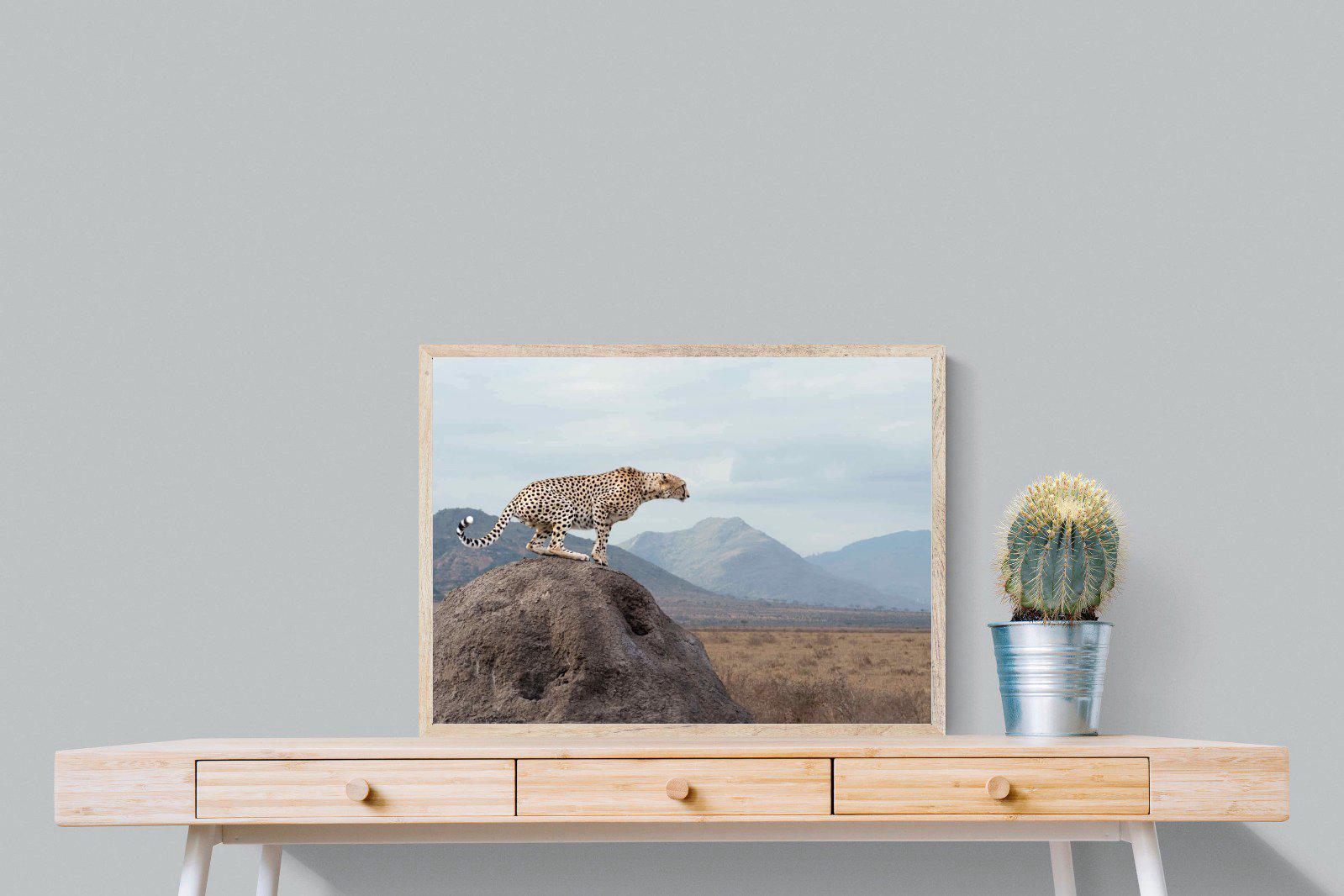 Cheetah-Wall_Art-80 x 60cm-Mounted Canvas-Wood-Pixalot