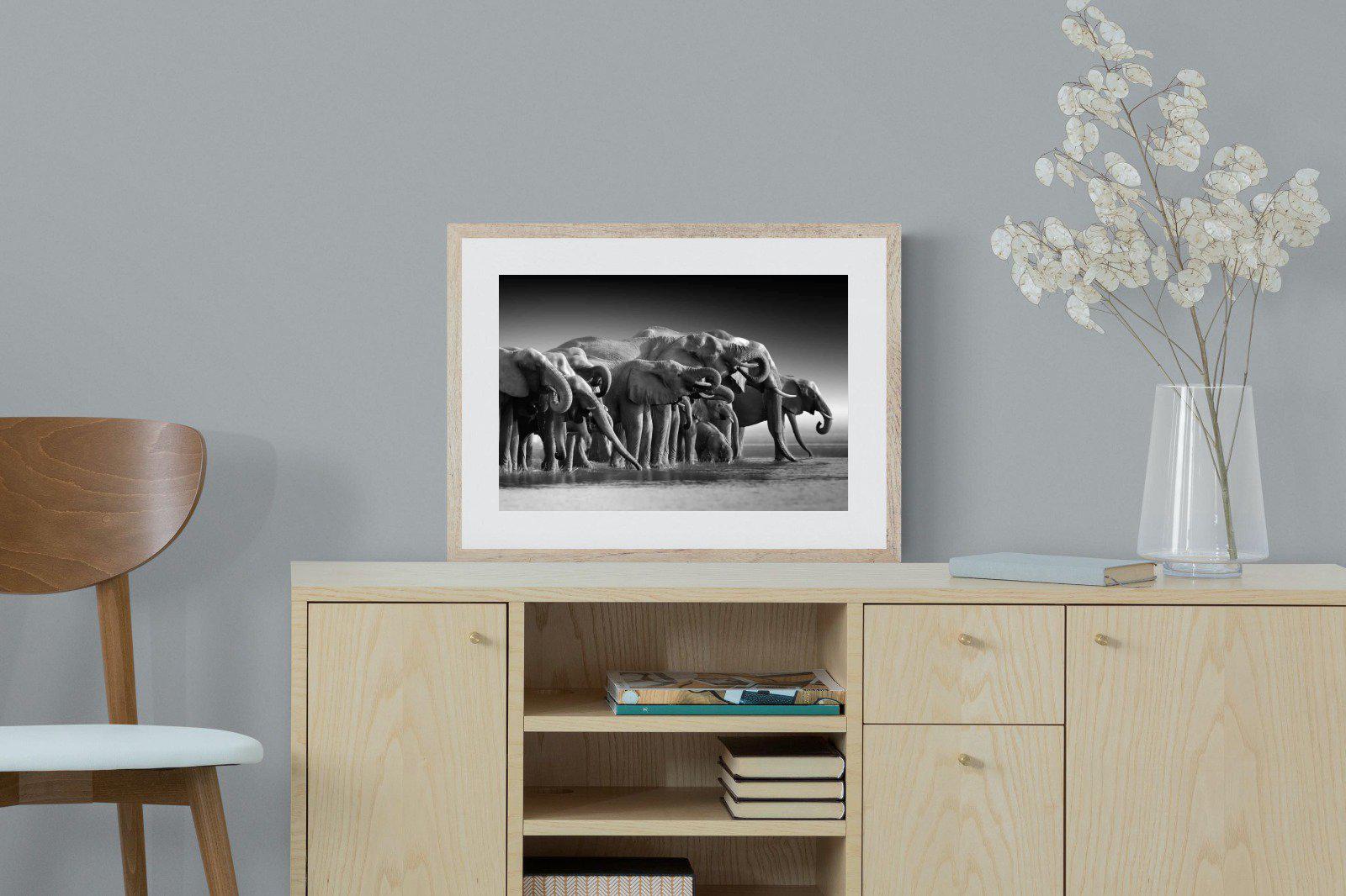 Chobe Elephants-Wall_Art-60 x 45cm-Framed Print-Wood-Pixalot