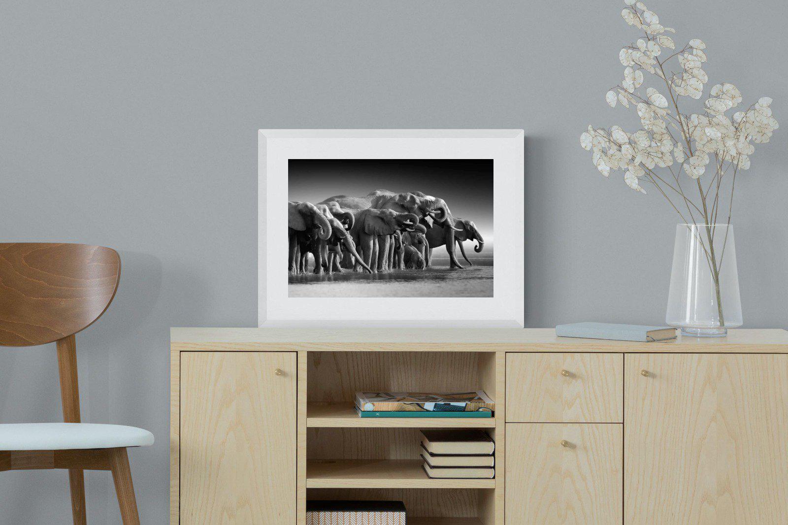 Chobe Elephants-Wall_Art-60 x 45cm-Framed Print-White-Pixalot