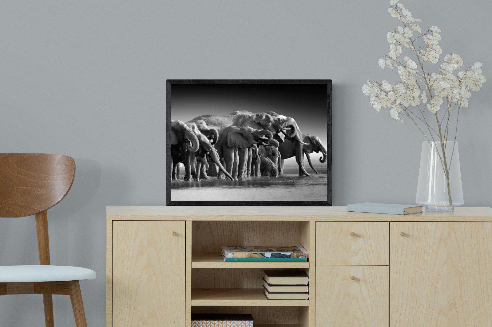Chobe Elephants-Wall_Art-60 x 45cm-Mounted Canvas-Black-Pixalot