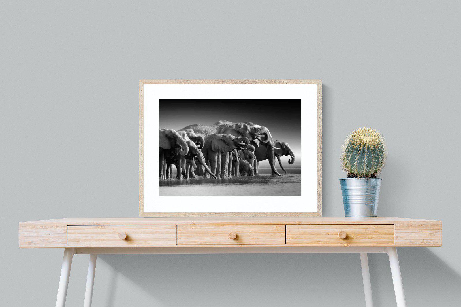 Chobe Elephants-Wall_Art-80 x 60cm-Framed Print-Wood-Pixalot