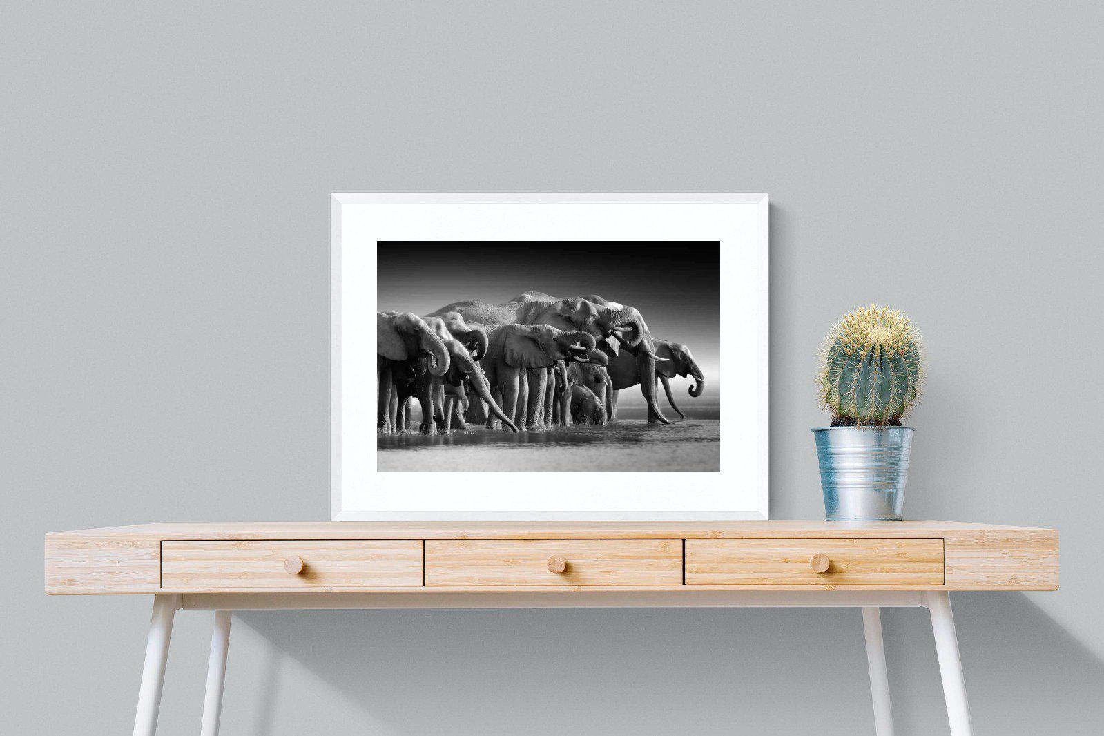 Chobe Elephants-Wall_Art-80 x 60cm-Framed Print-White-Pixalot