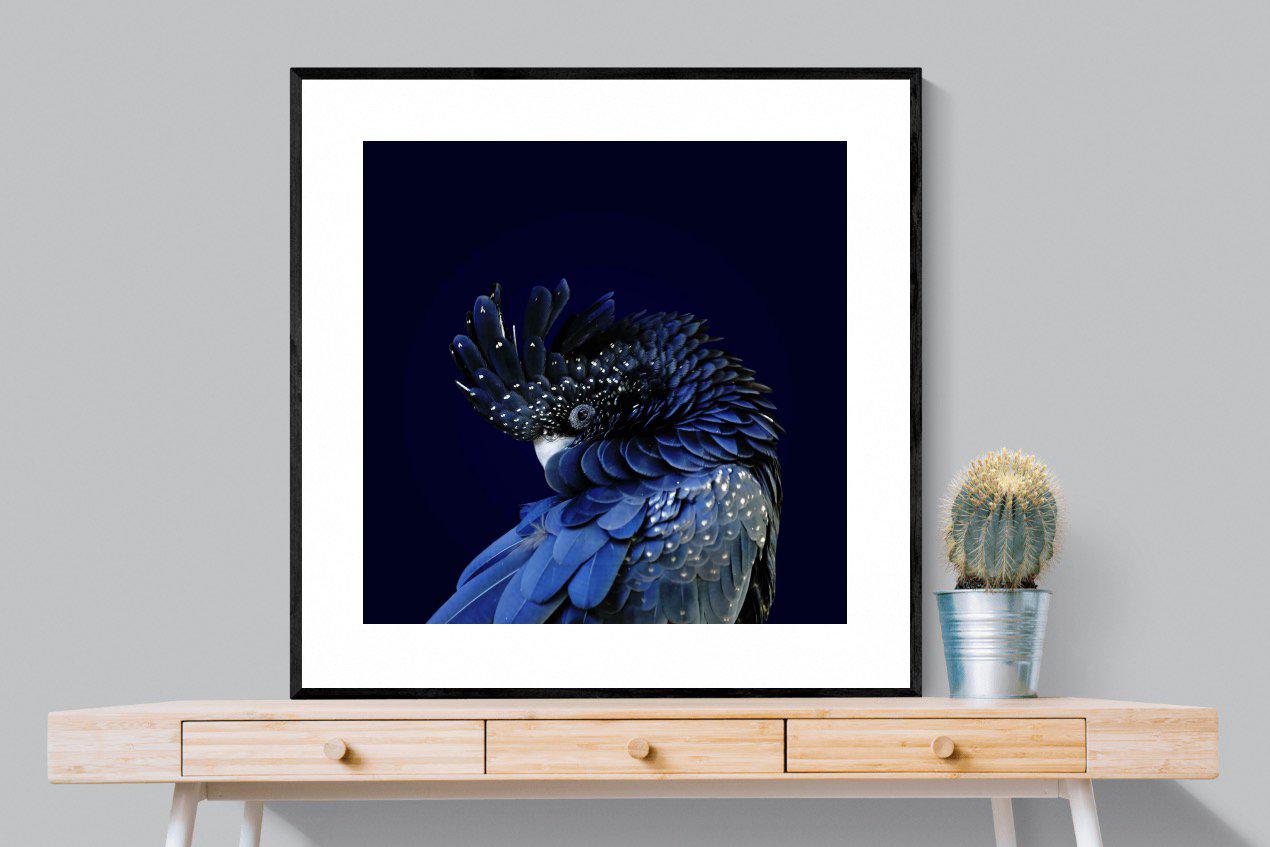 Cockatoo-Wall_Art-100 x 100cm-Framed Print-Black-Pixalot