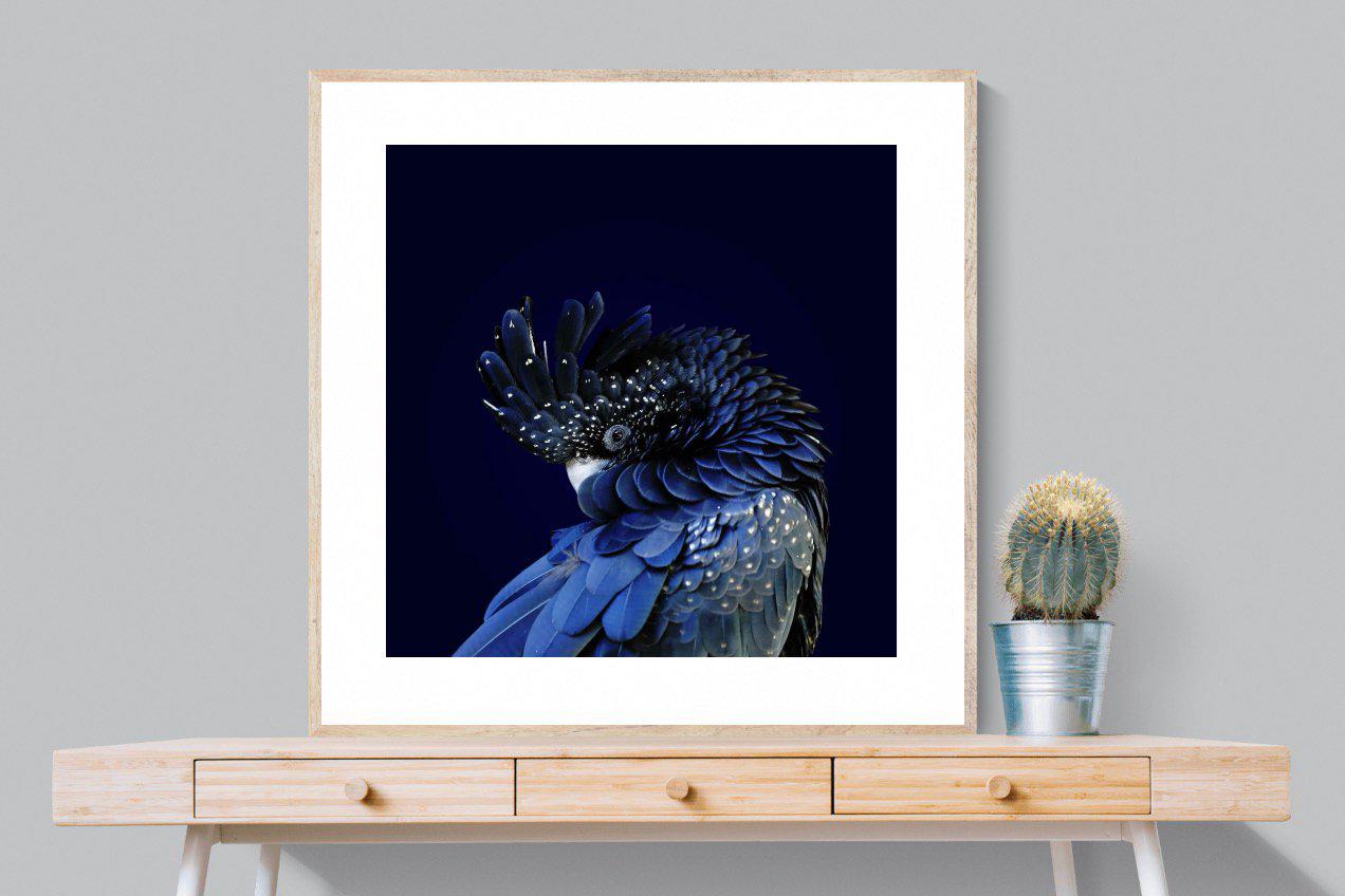 Cockatoo-Wall_Art-100 x 100cm-Framed Print-Wood-Pixalot