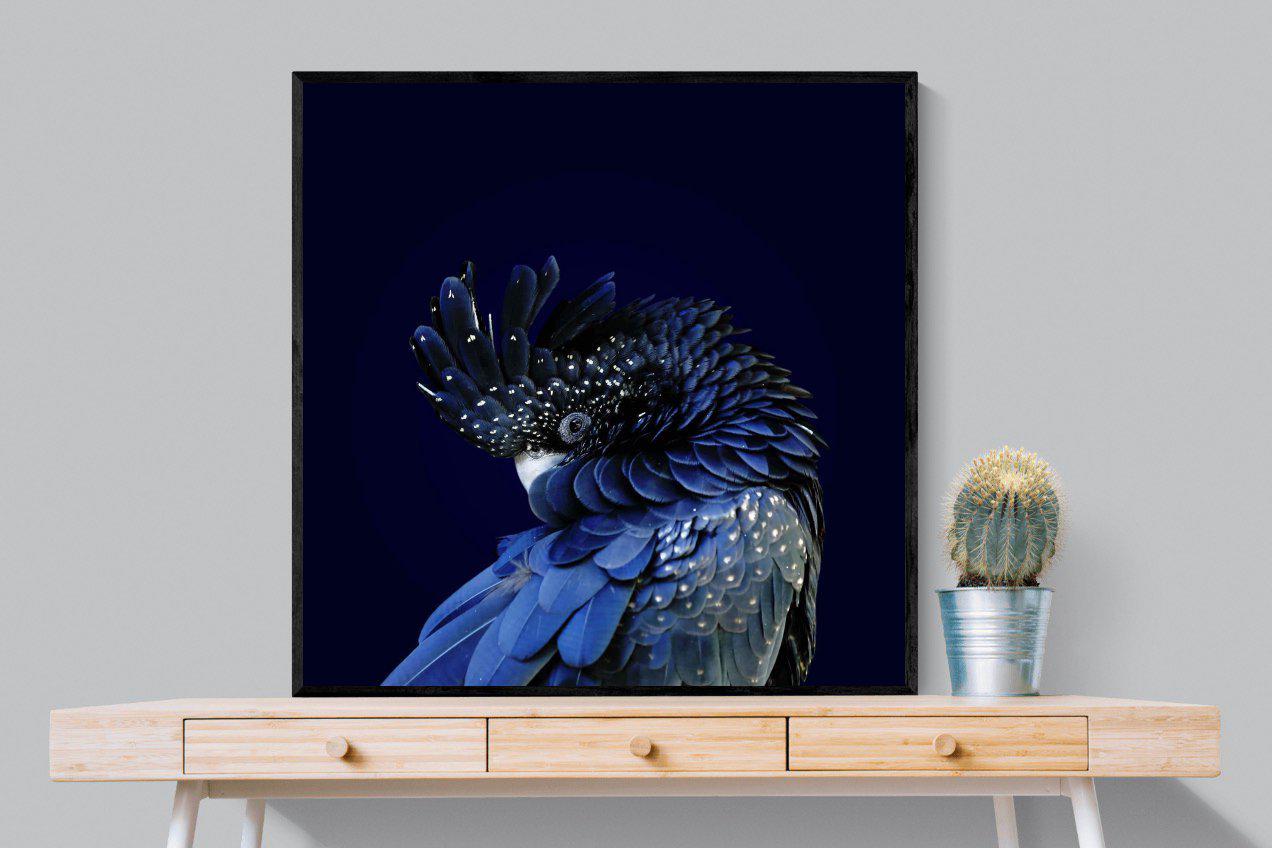 Cockatoo-Wall_Art-100 x 100cm-Mounted Canvas-Black-Pixalot