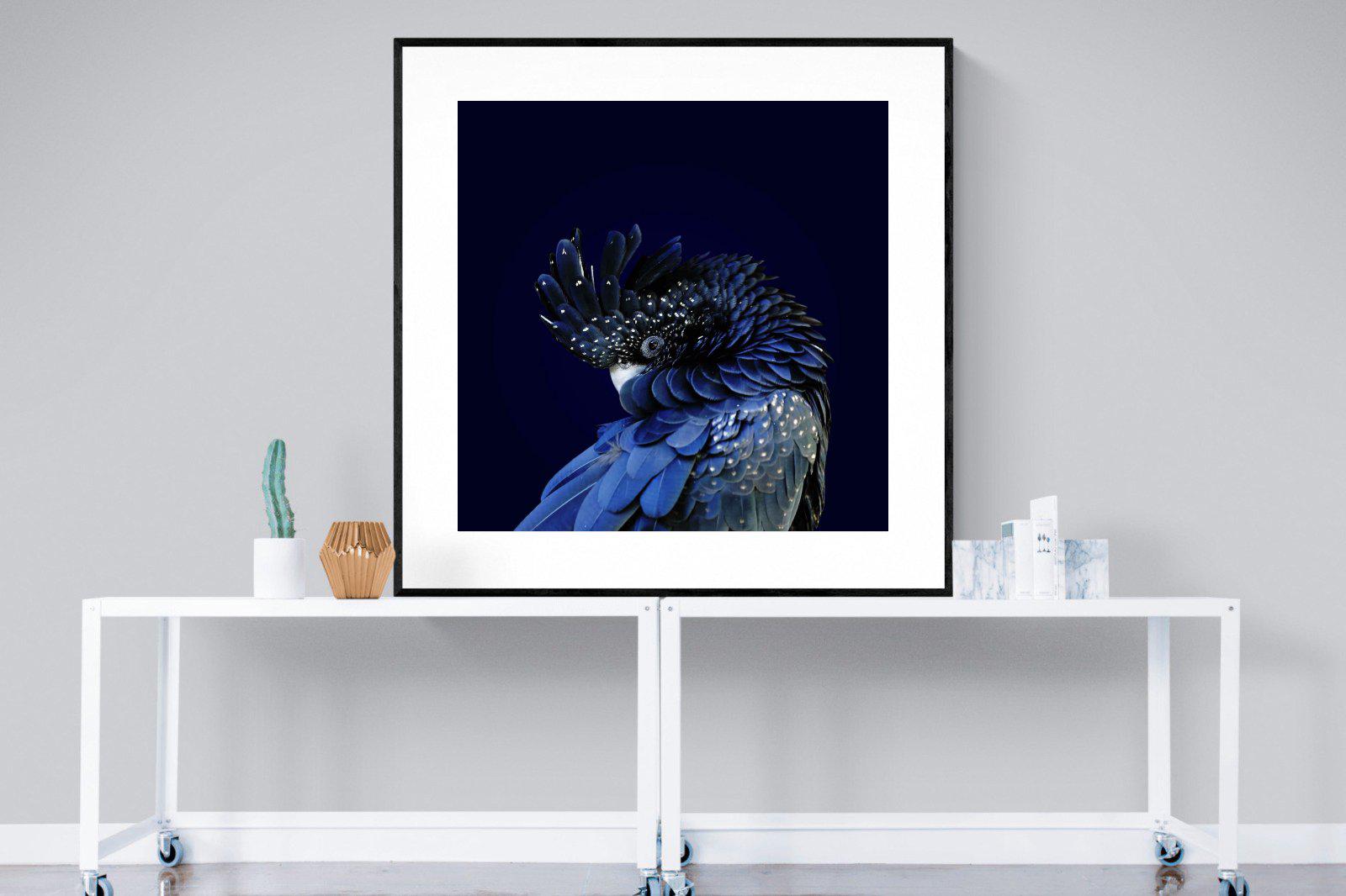 Cockatoo-Wall_Art-120 x 120cm-Framed Print-Black-Pixalot