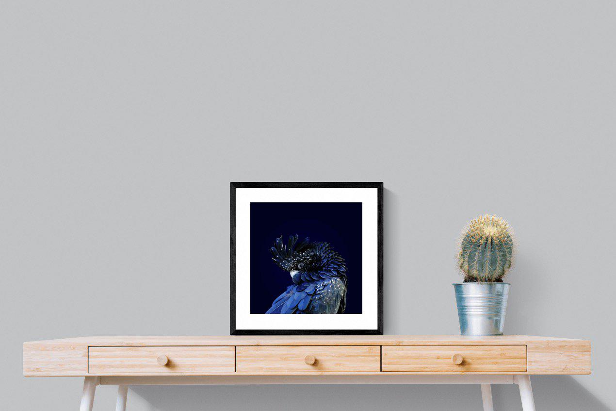 Cockatoo-Wall_Art-50 x 50cm-Framed Print-Black-Pixalot