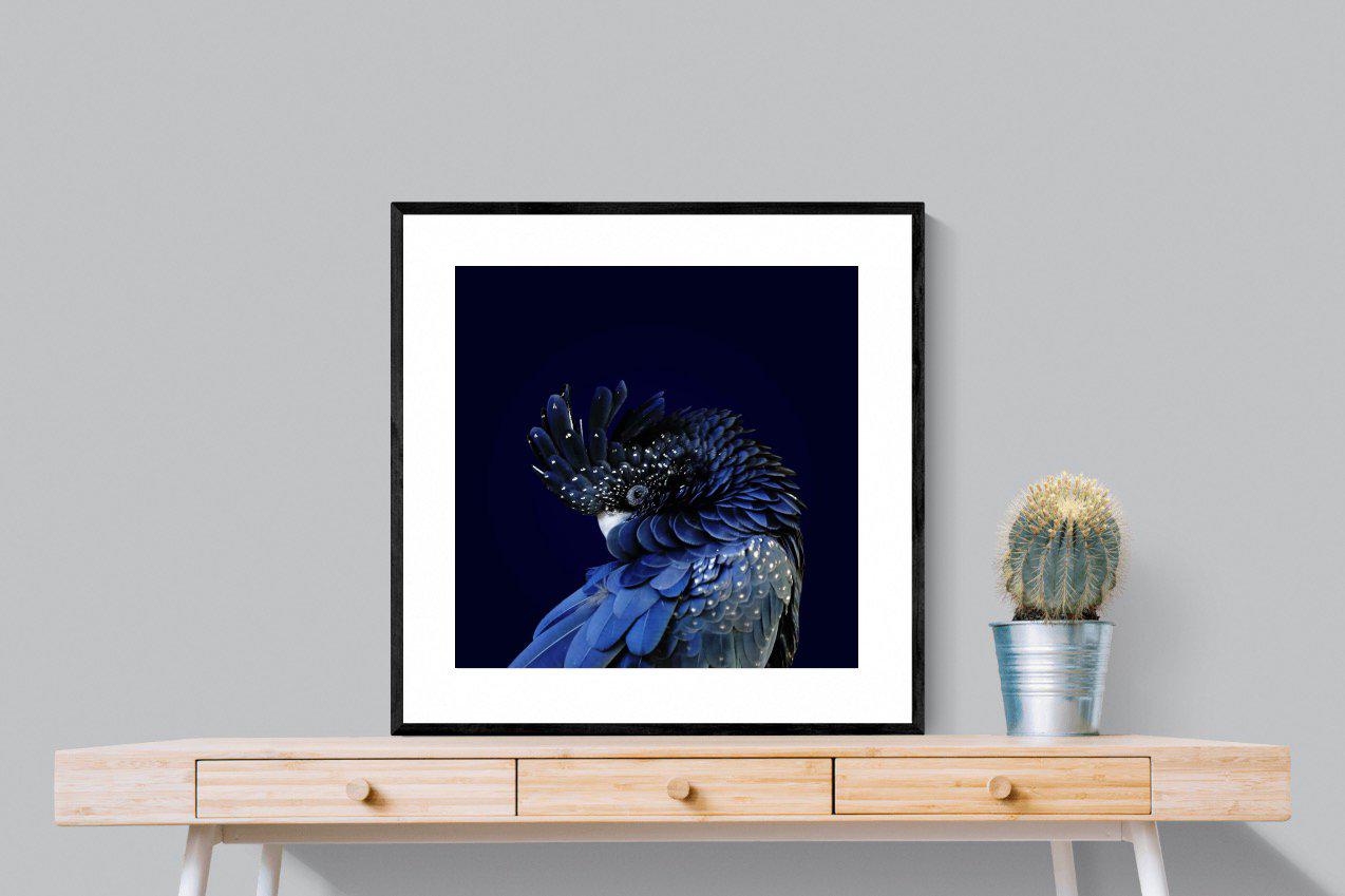 Cockatoo-Wall_Art-80 x 80cm-Framed Print-Black-Pixalot