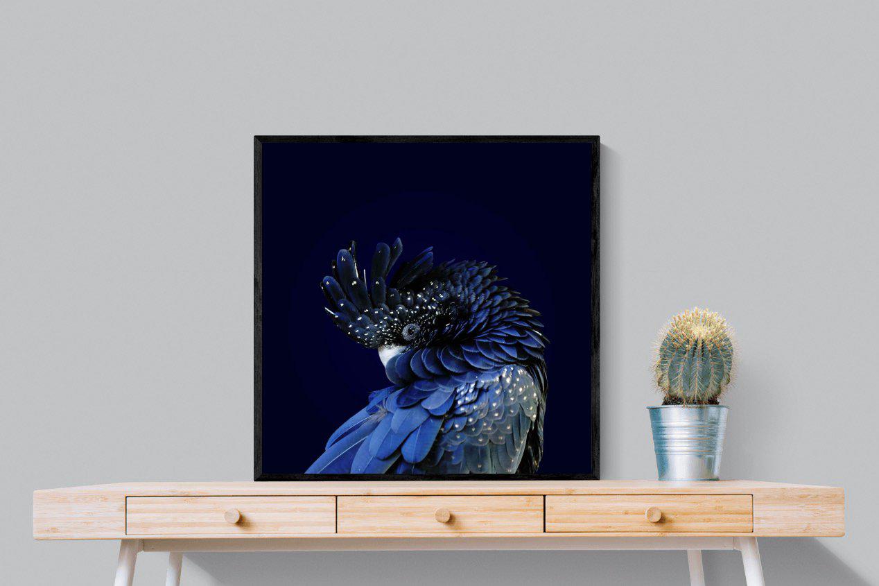 Cockatoo-Wall_Art-80 x 80cm-Mounted Canvas-Black-Pixalot