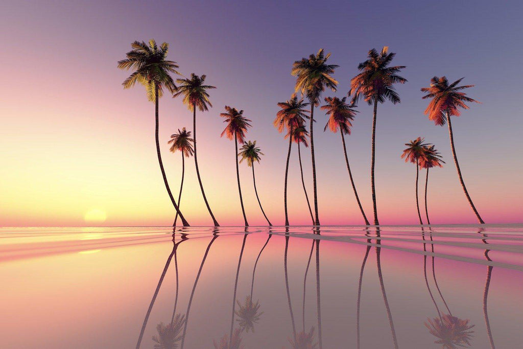 Coconut Palms-Wall_Art-Pixalot
