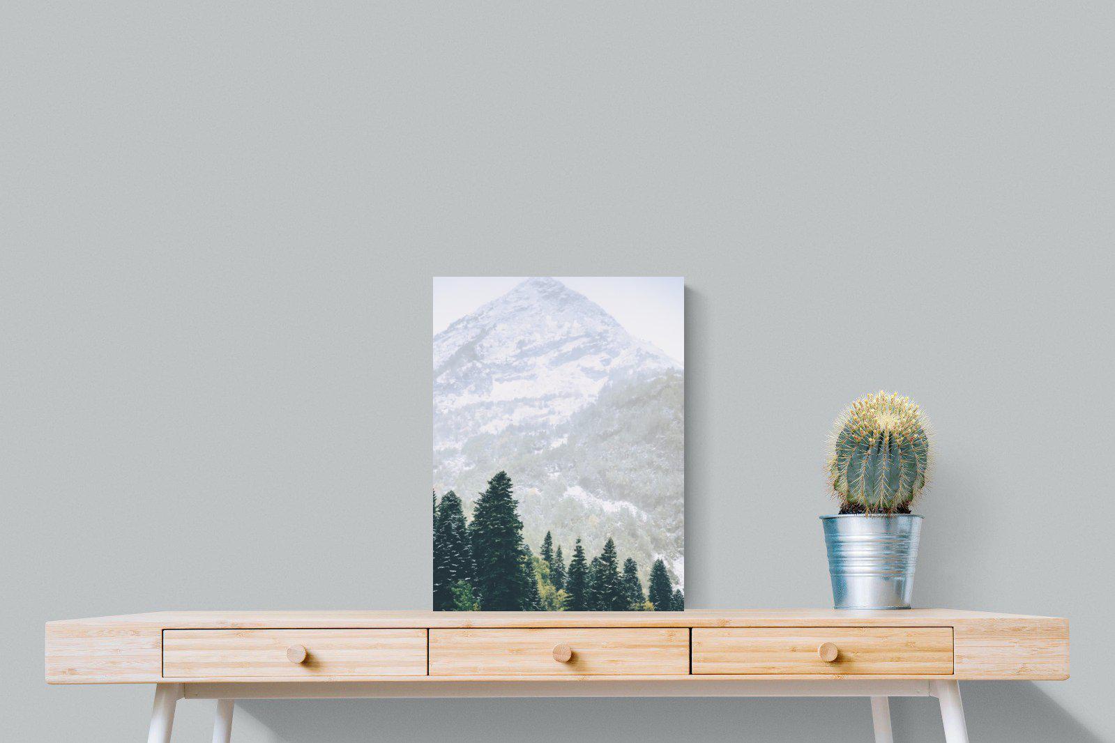 Coniferous Forest-Wall_Art-45 x 60cm-Mounted Canvas-No Frame-Pixalot