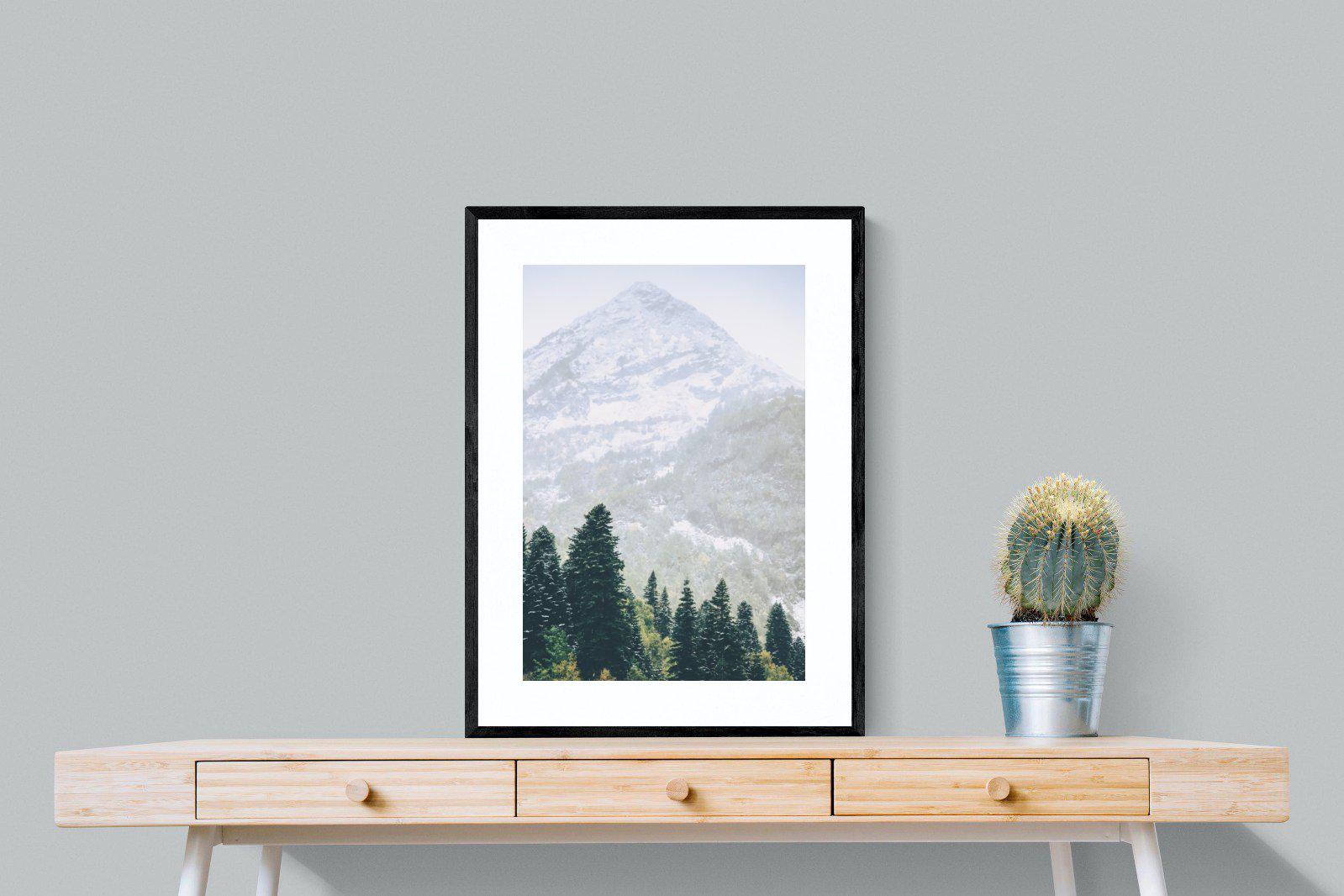 Coniferous Forest-Wall_Art-60 x 80cm-Framed Print-Black-Pixalot