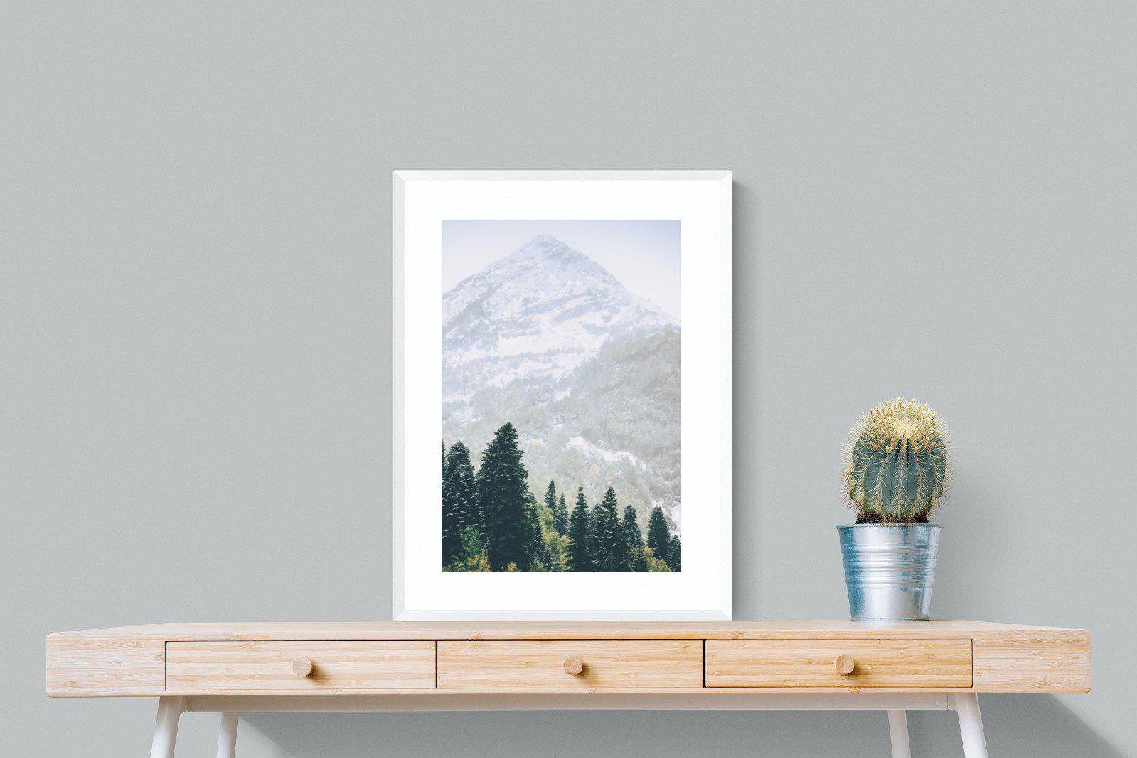 Coniferous Forest-Wall_Art-60 x 80cm-Framed Print-White-Pixalot