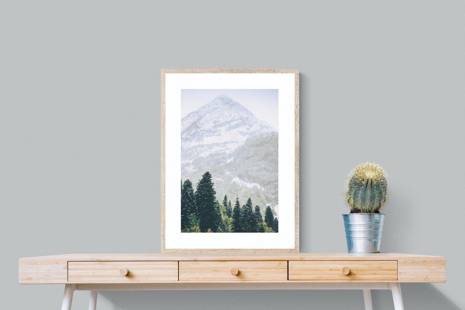 Coniferous Forest-Wall_Art-60 x 80cm-Framed Print-Wood-Pixalot