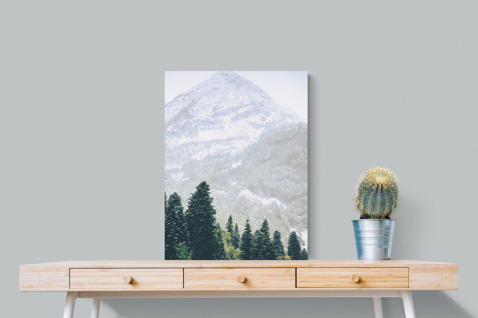 Coniferous Forest-Wall_Art-60 x 80cm-Mounted Canvas-No Frame-Pixalot