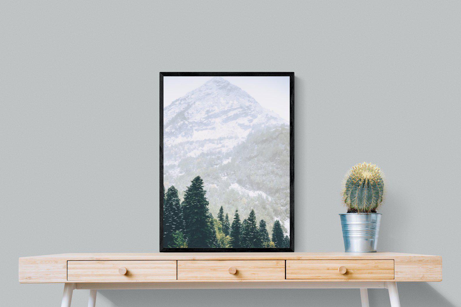 Coniferous Forest-Wall_Art-60 x 80cm-Mounted Canvas-Black-Pixalot