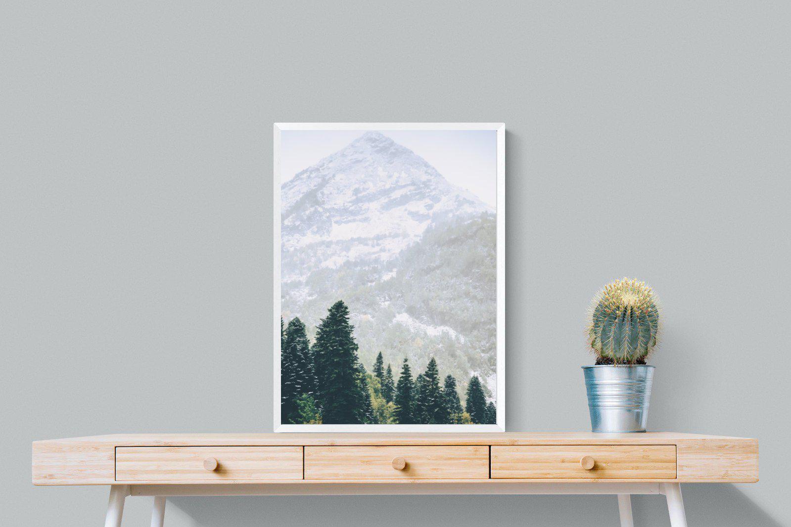 Coniferous Forest-Wall_Art-60 x 80cm-Mounted Canvas-White-Pixalot