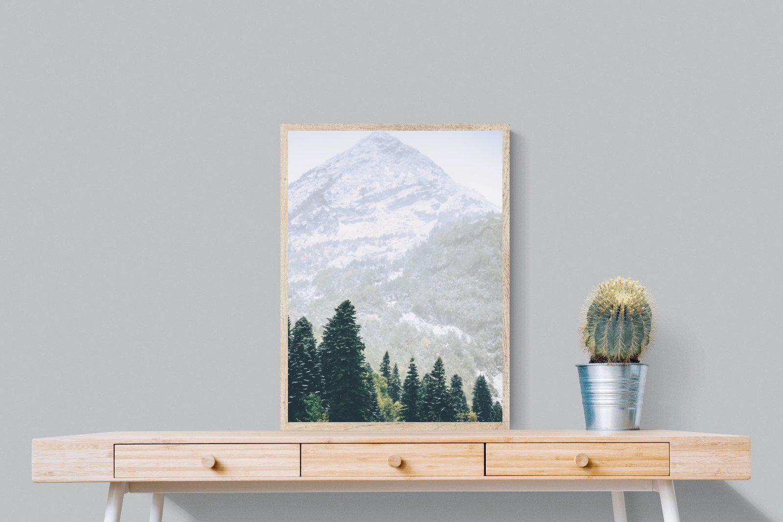Coniferous Forest-Wall_Art-60 x 80cm-Mounted Canvas-Wood-Pixalot