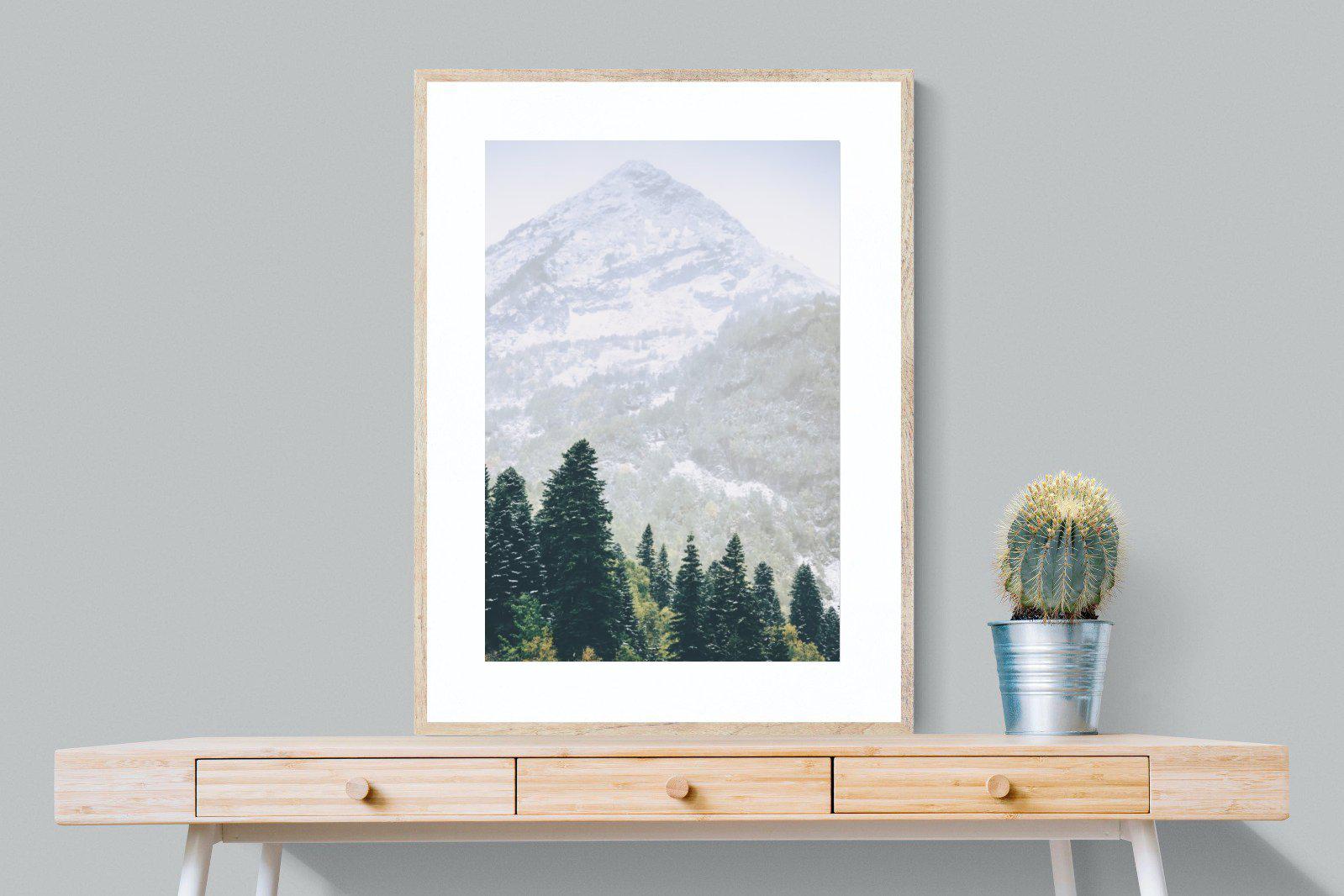 Coniferous Forest-Wall_Art-75 x 100cm-Framed Print-Wood-Pixalot