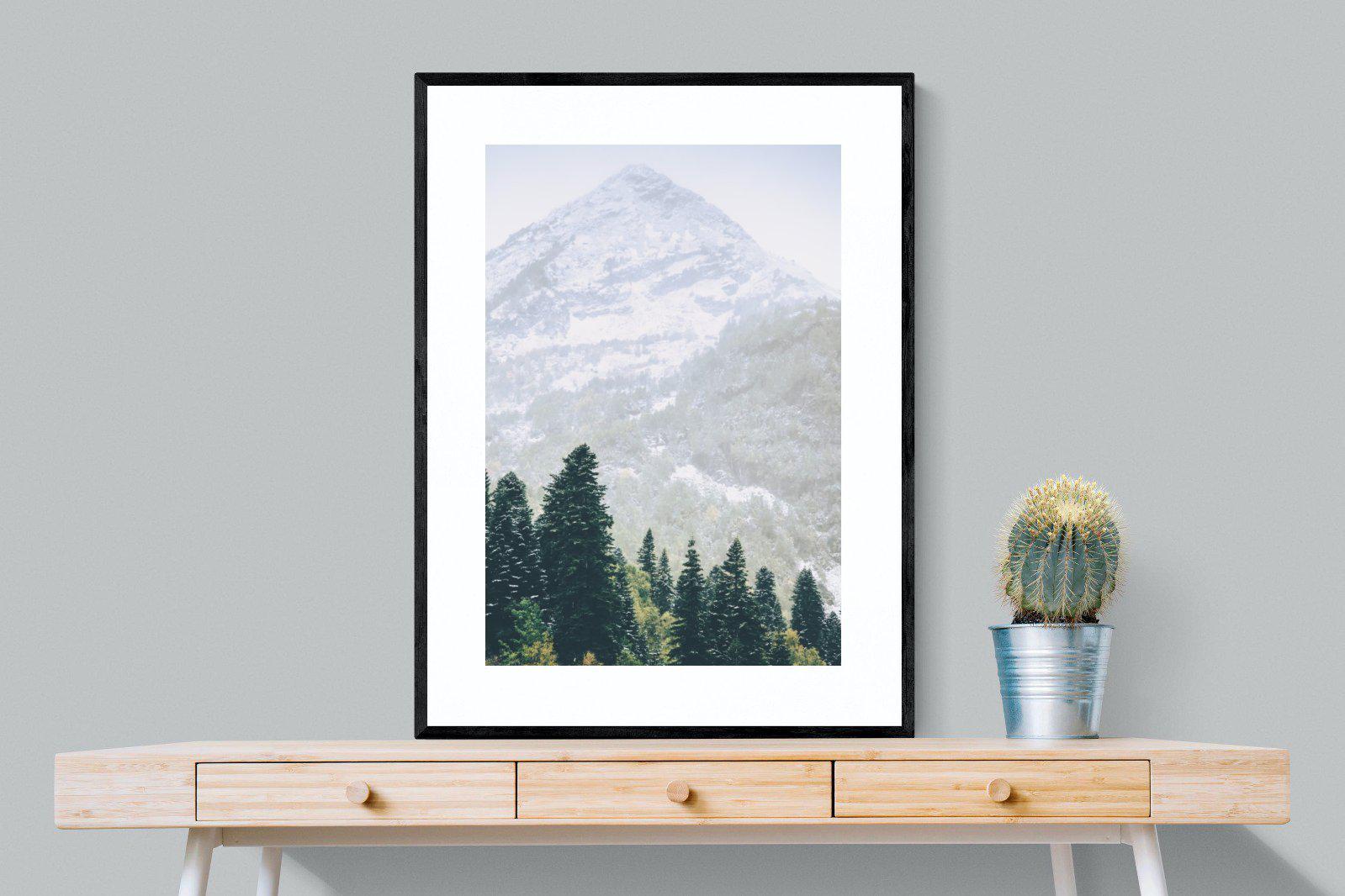 Coniferous Forest-Wall_Art-75 x 100cm-Framed Print-Black-Pixalot