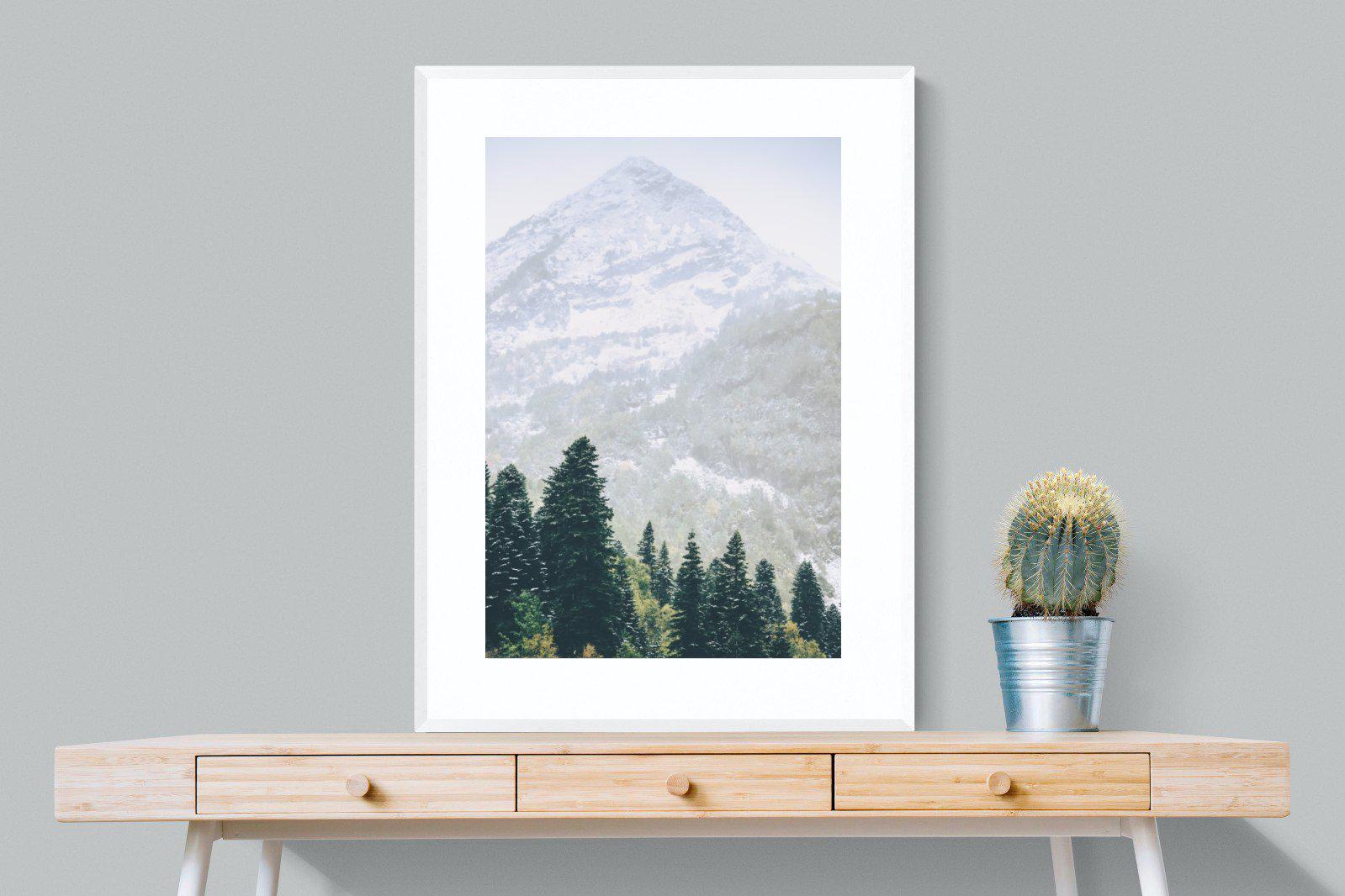 Coniferous Forest-Wall_Art-75 x 100cm-Framed Print-White-Pixalot