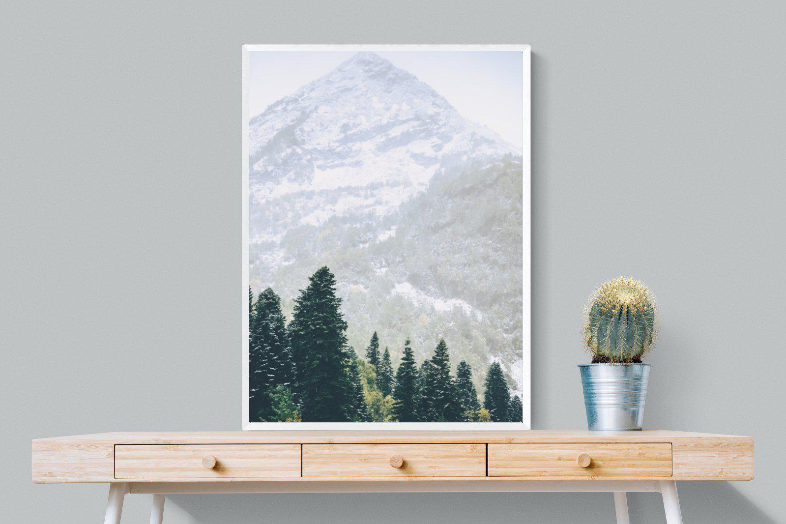 Coniferous Forest-Wall_Art-75 x 100cm-Mounted Canvas-White-Pixalot