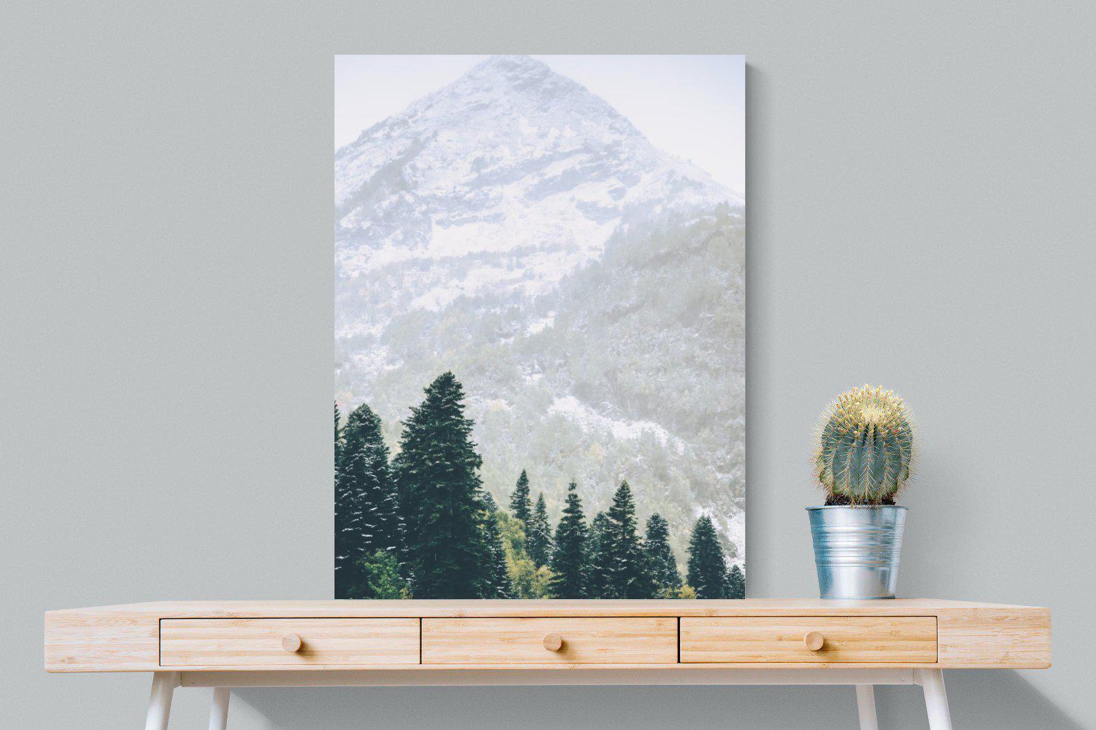 Coniferous Forest-Wall_Art-75 x 100cm-Mounted Canvas-No Frame-Pixalot