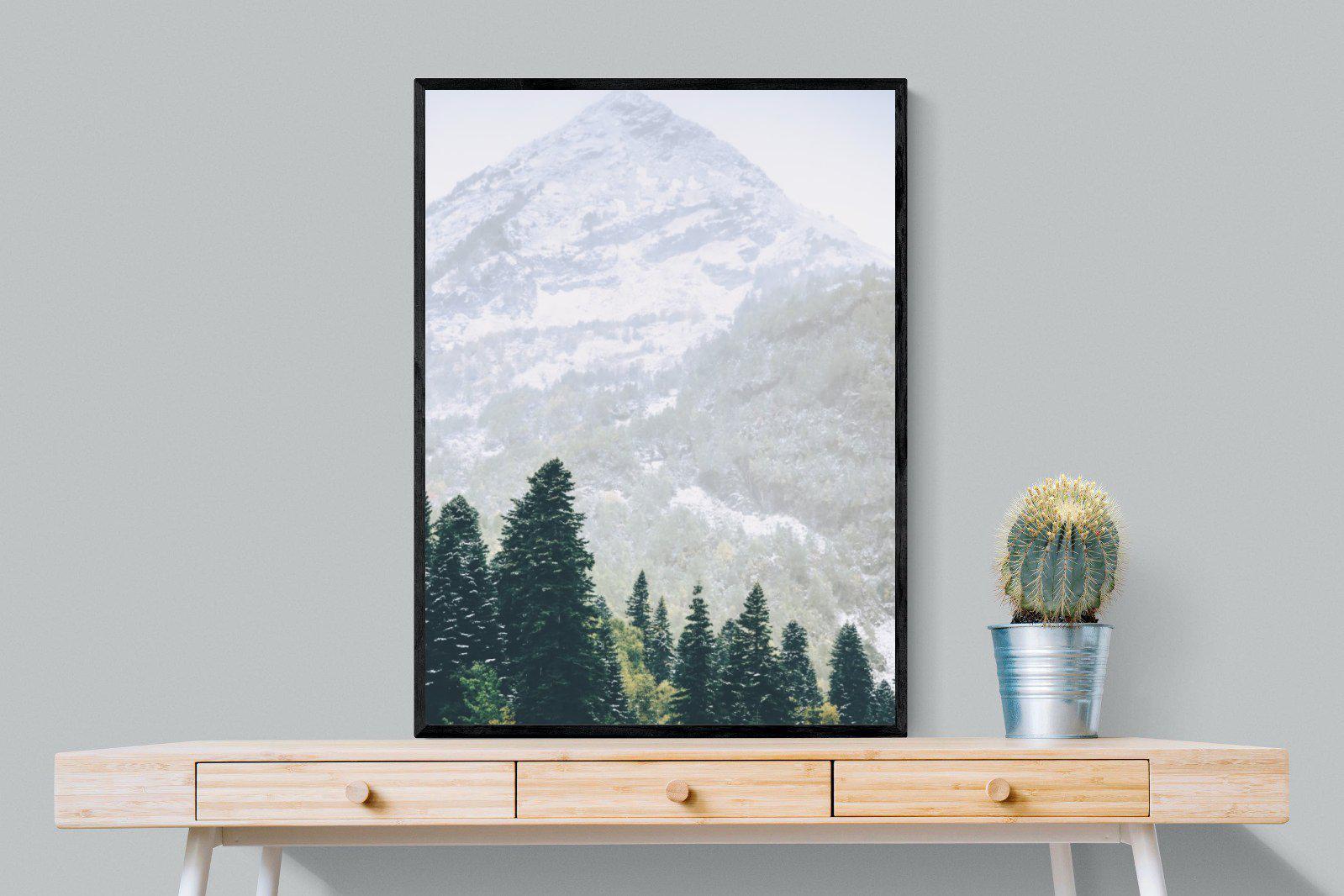 Coniferous Forest-Wall_Art-75 x 100cm-Mounted Canvas-Black-Pixalot